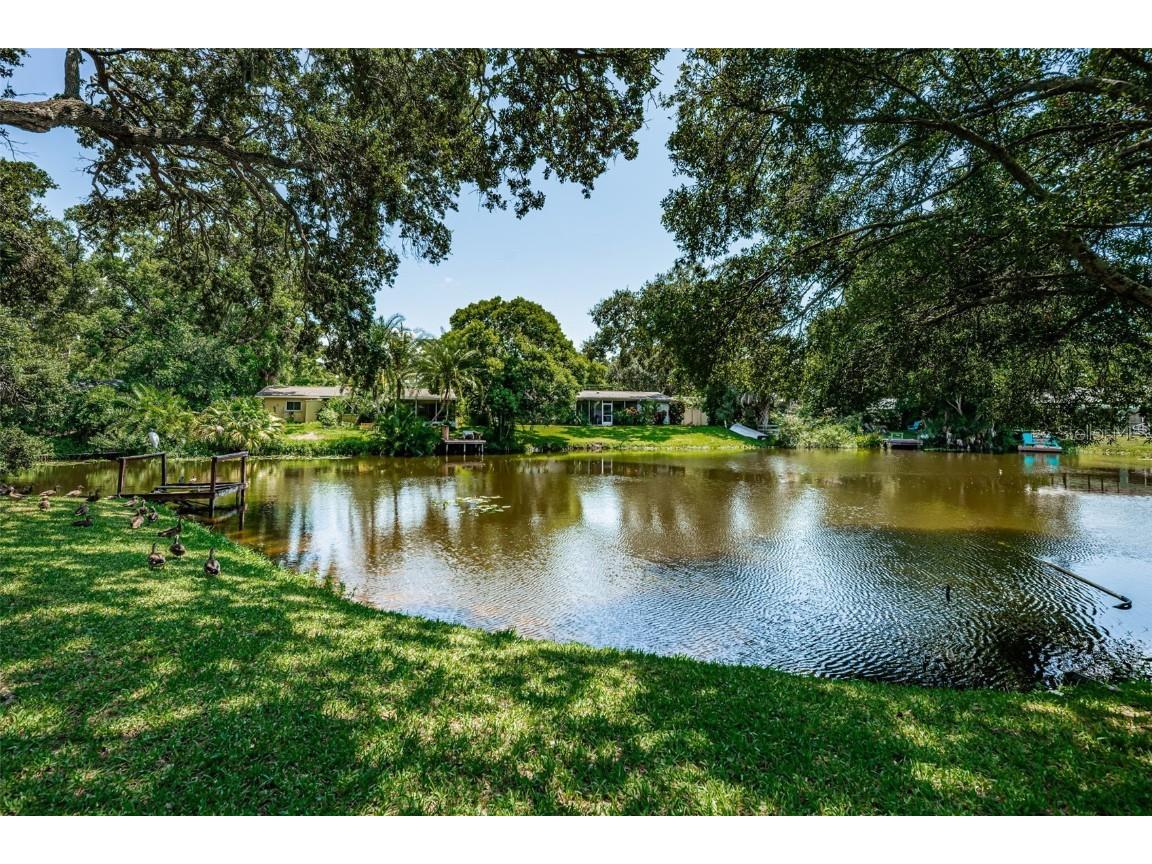 1069 Idlewild Drive N Dunedin FL 34698 U8253379 image1