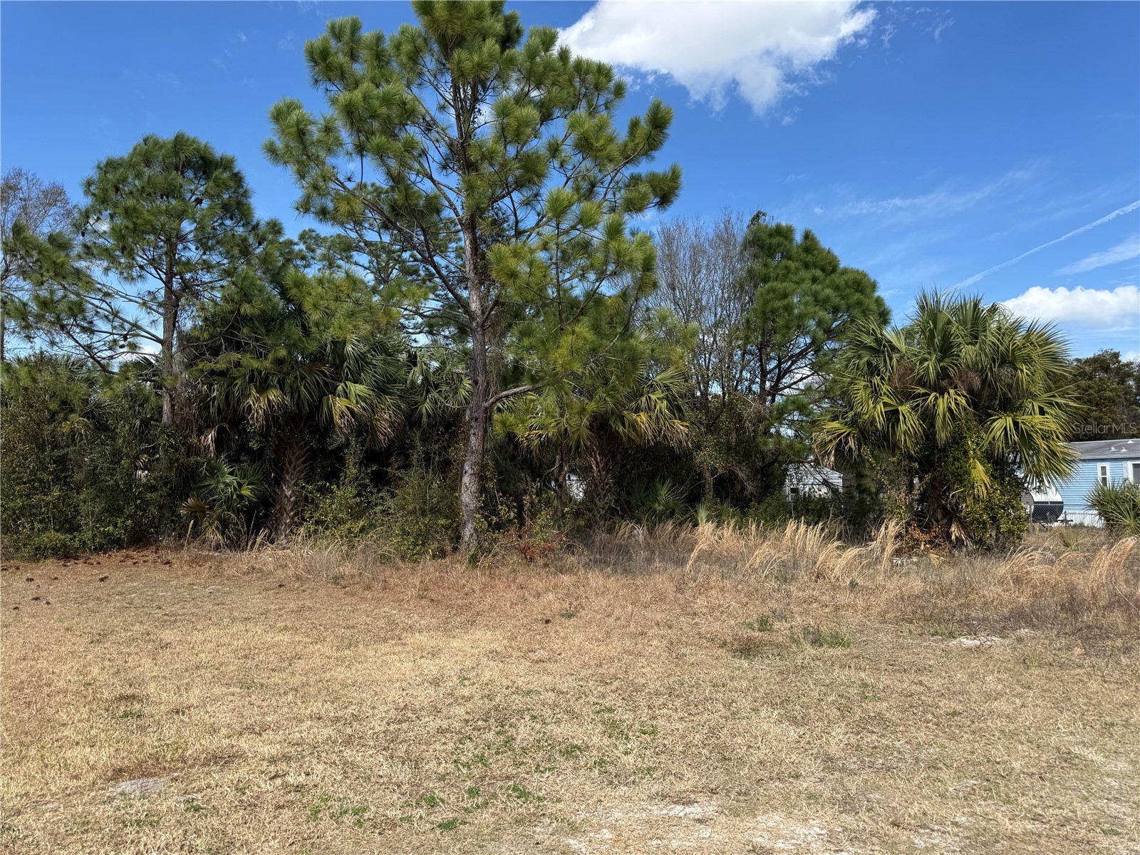 1069 Massey Road New Smyrna Beach FL 32168 NS1087371 image3