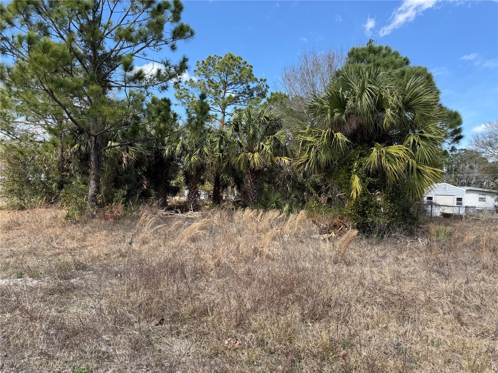 1069 Massey Road New Smyrna Beach FL 32168 NS1087371 image4