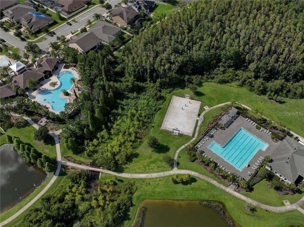 1069 Montgomery Bell Road Wesley Chapel FL 33543 TB8460752 image36