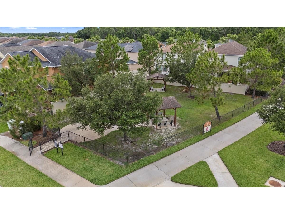 1069 Montgomery Bell Road Wesley Chapel FL 33543 TB8460752 image48