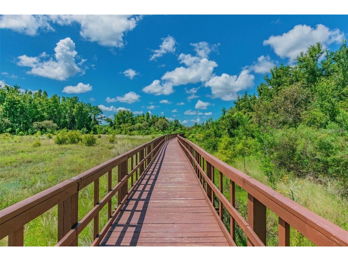 1069 Montgomery Bell Road Wesley Chapel FL 33543 TB8460752 image52