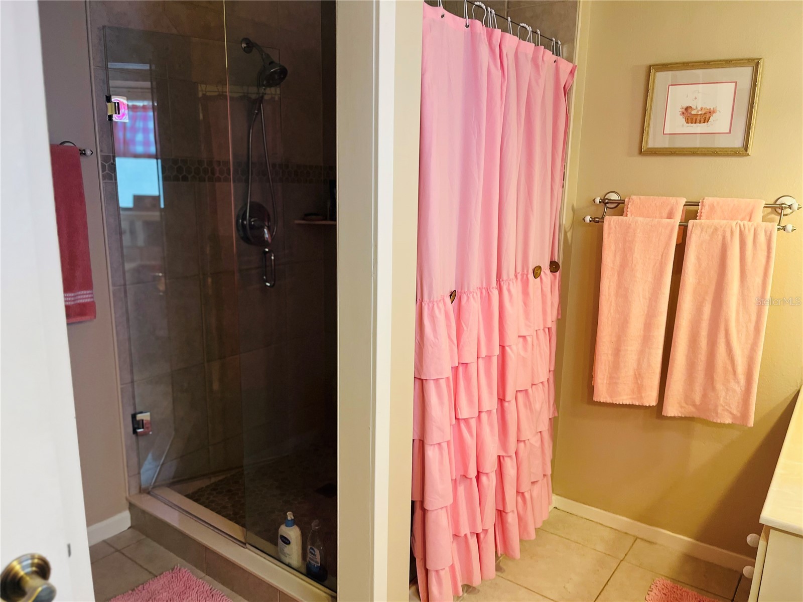 1069 SE 57th Avenue Ocala FL 34480 OM723175 image35