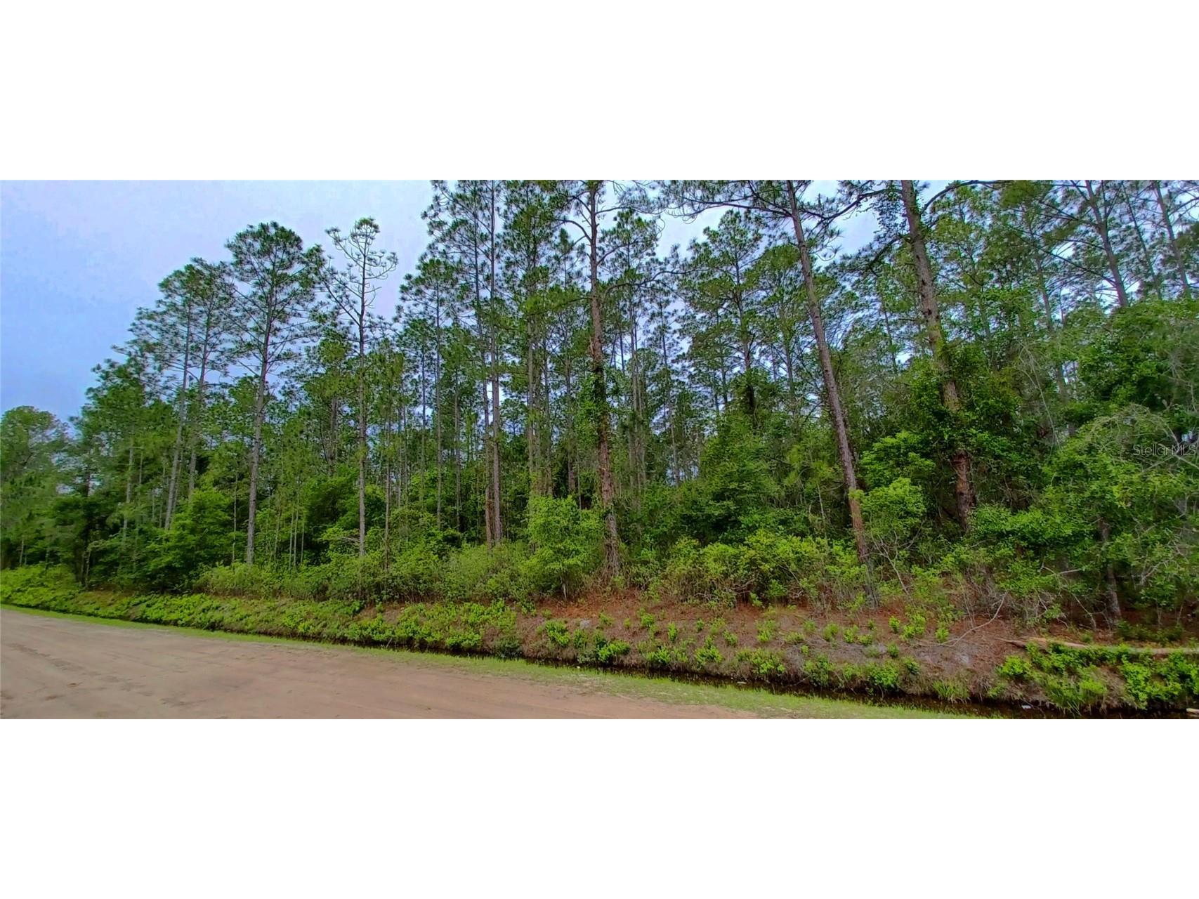 10695 Erickson Avenue Hastings FL 32145 O6186840 image1