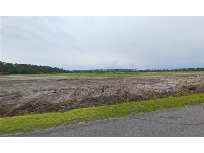 10695 Erickson Avenue Hastings FL 32145 O6186840 image4