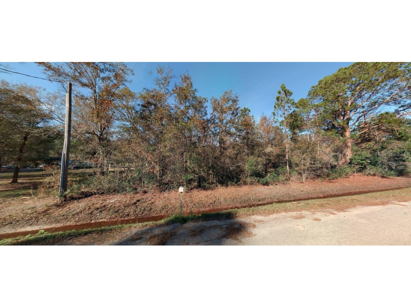 10695 Zigler Avenue Hastings FL 32145 A4620001 image1