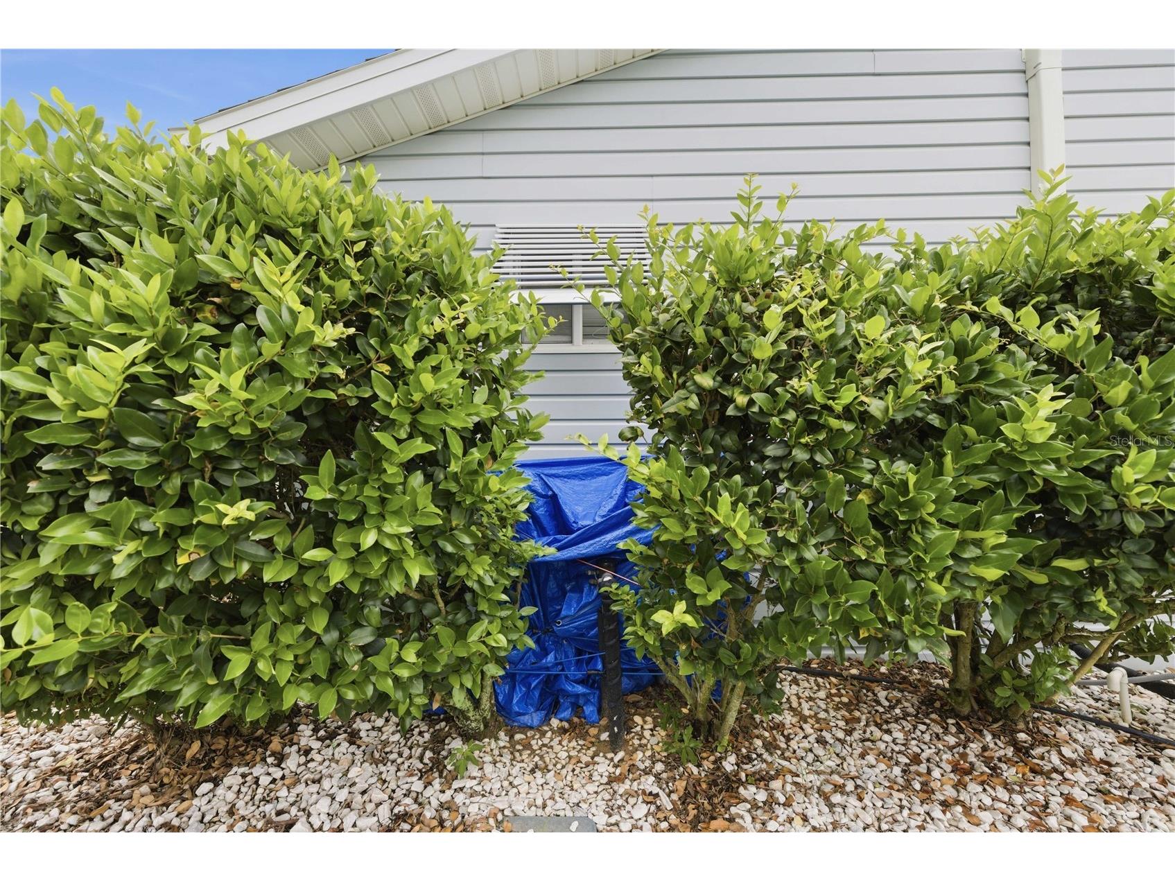 10696 SE 174th Place Summerfield FL 34491 G5113045 image35