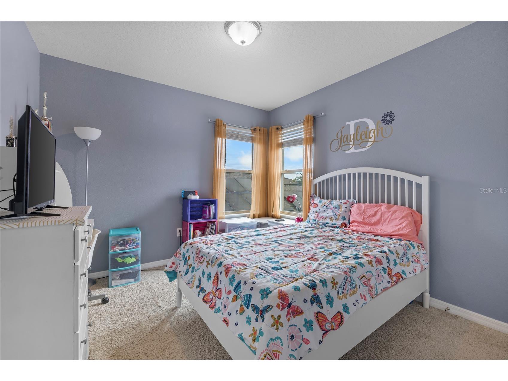 10697 Atwater Bay Drive Winter Garden FL 34787 O6372626 image27