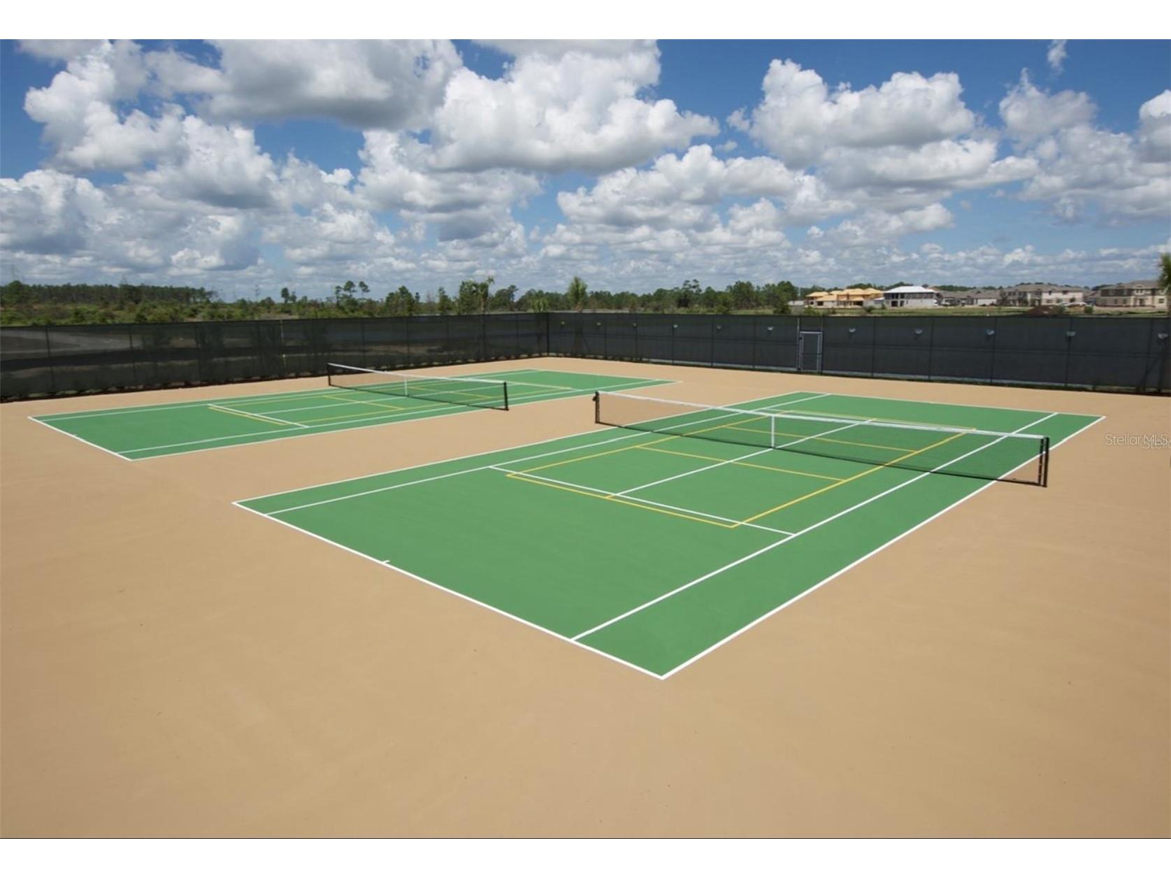 10697 Atwater Bay Drive Winter Garden FL 34787 O6372626 image41