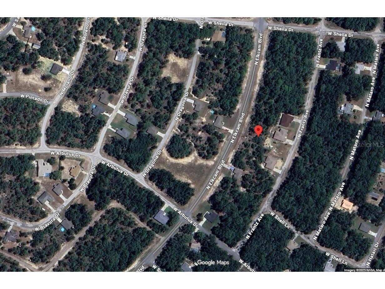 10697 N Elkcam Boulevard Citrus Springs FL 34433 OM725354 image2