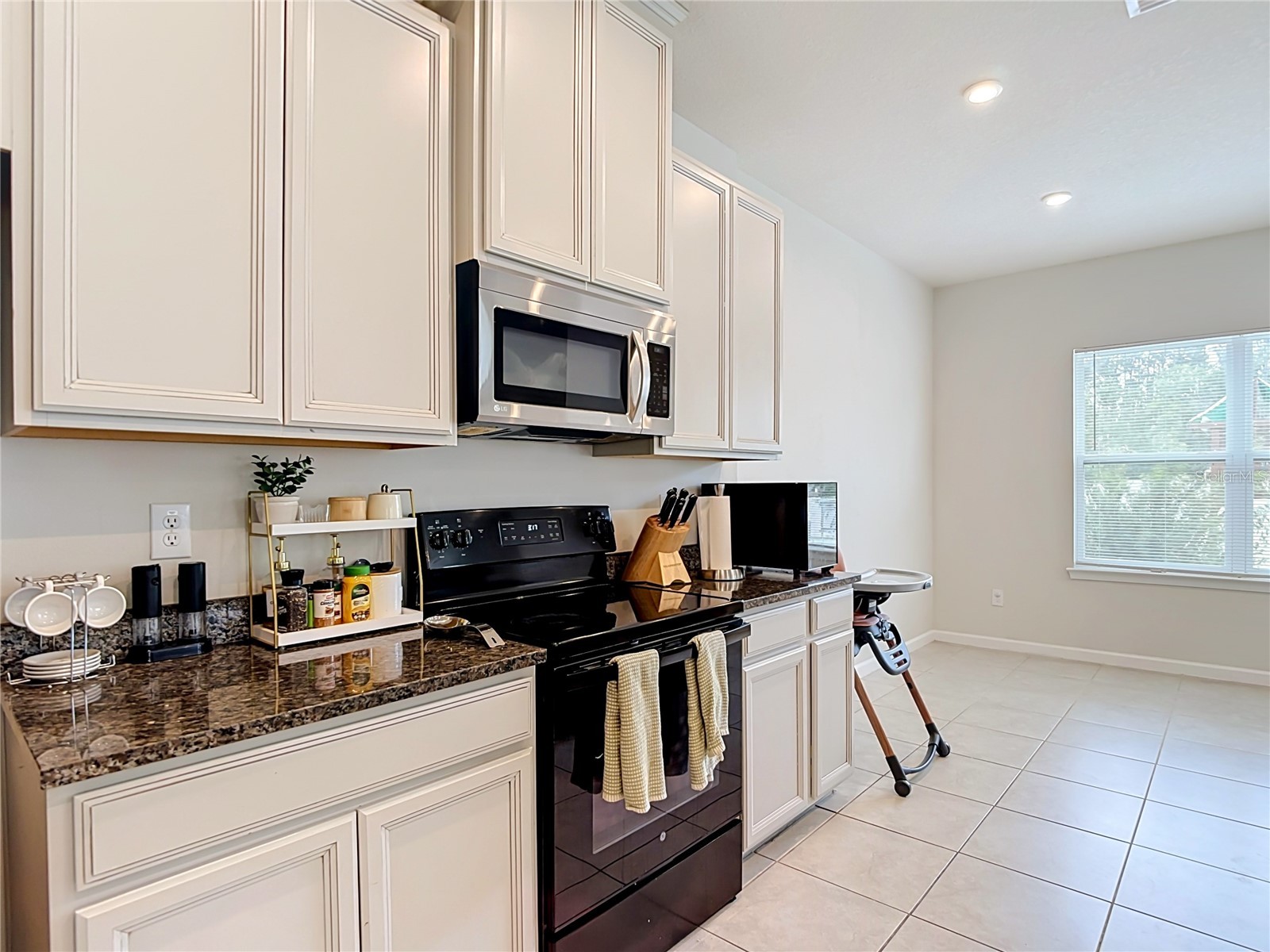 10699 Old Sycamore Loop Land O Lakes FL 34638 TB8521150 image16