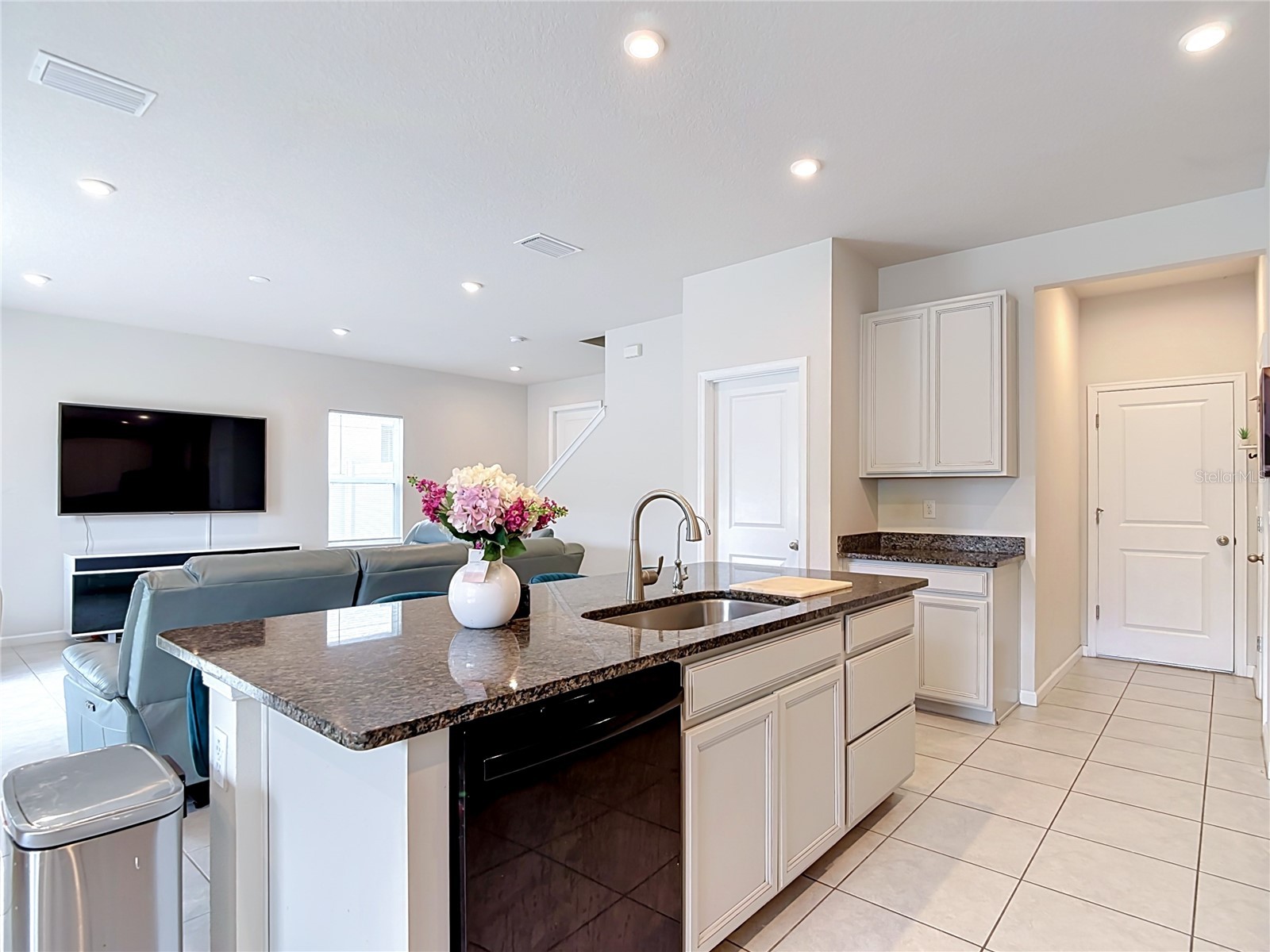 10699 Old Sycamore Loop Land O Lakes FL 34638 TB8521150 image19
