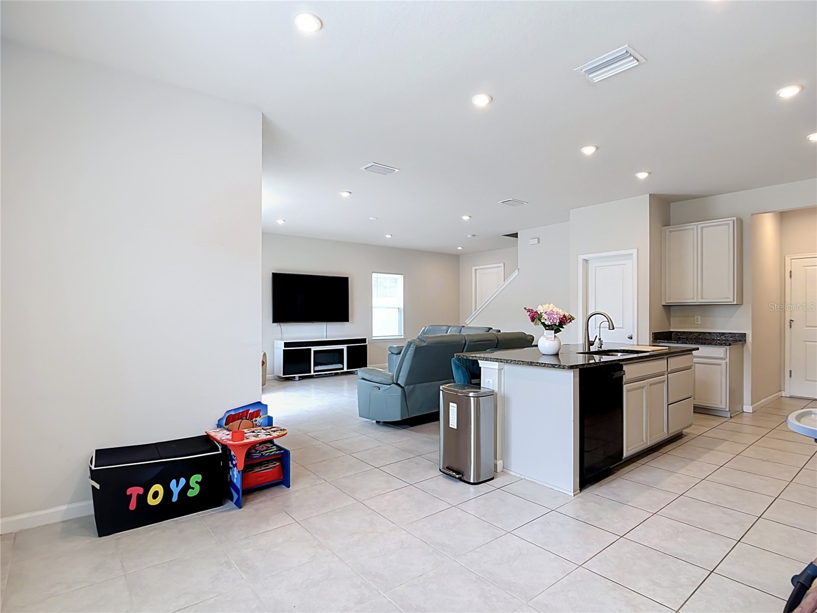 10699 Old Sycamore Loop Land O Lakes FL 34638 TB8521150 image21