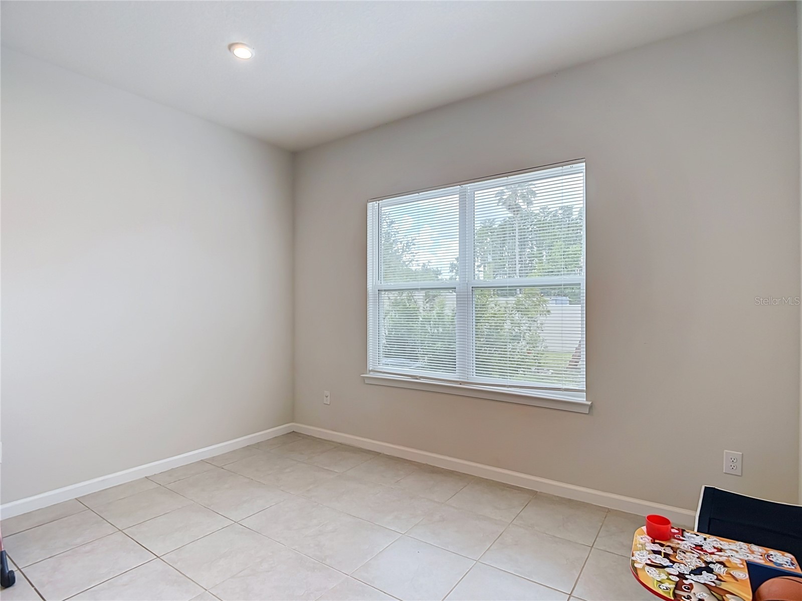 10699 Old Sycamore Loop Land O Lakes FL 34638 TB8521150 image22