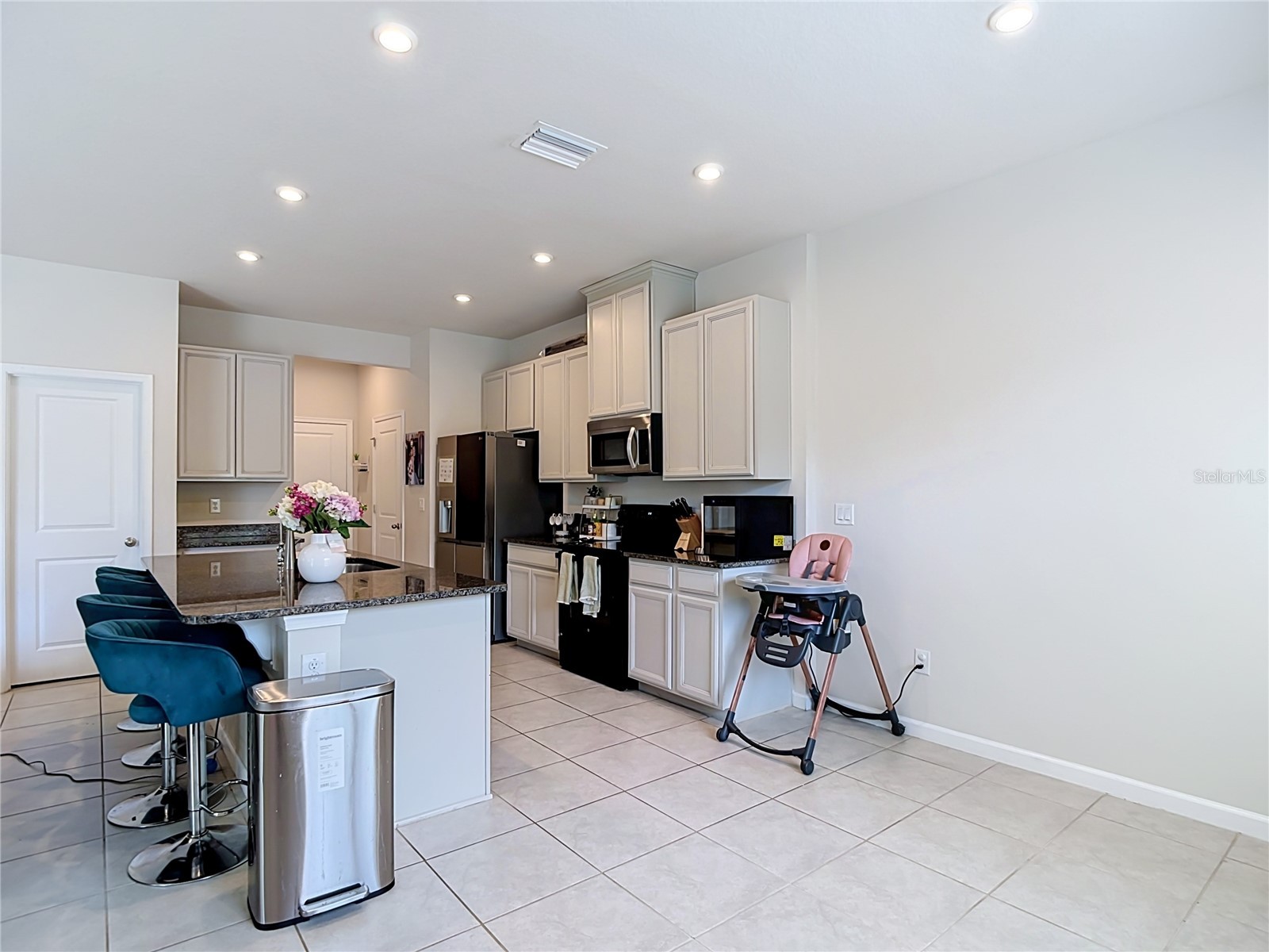 10699 Old Sycamore Loop Land O Lakes FL 34638 TB8521150 image23