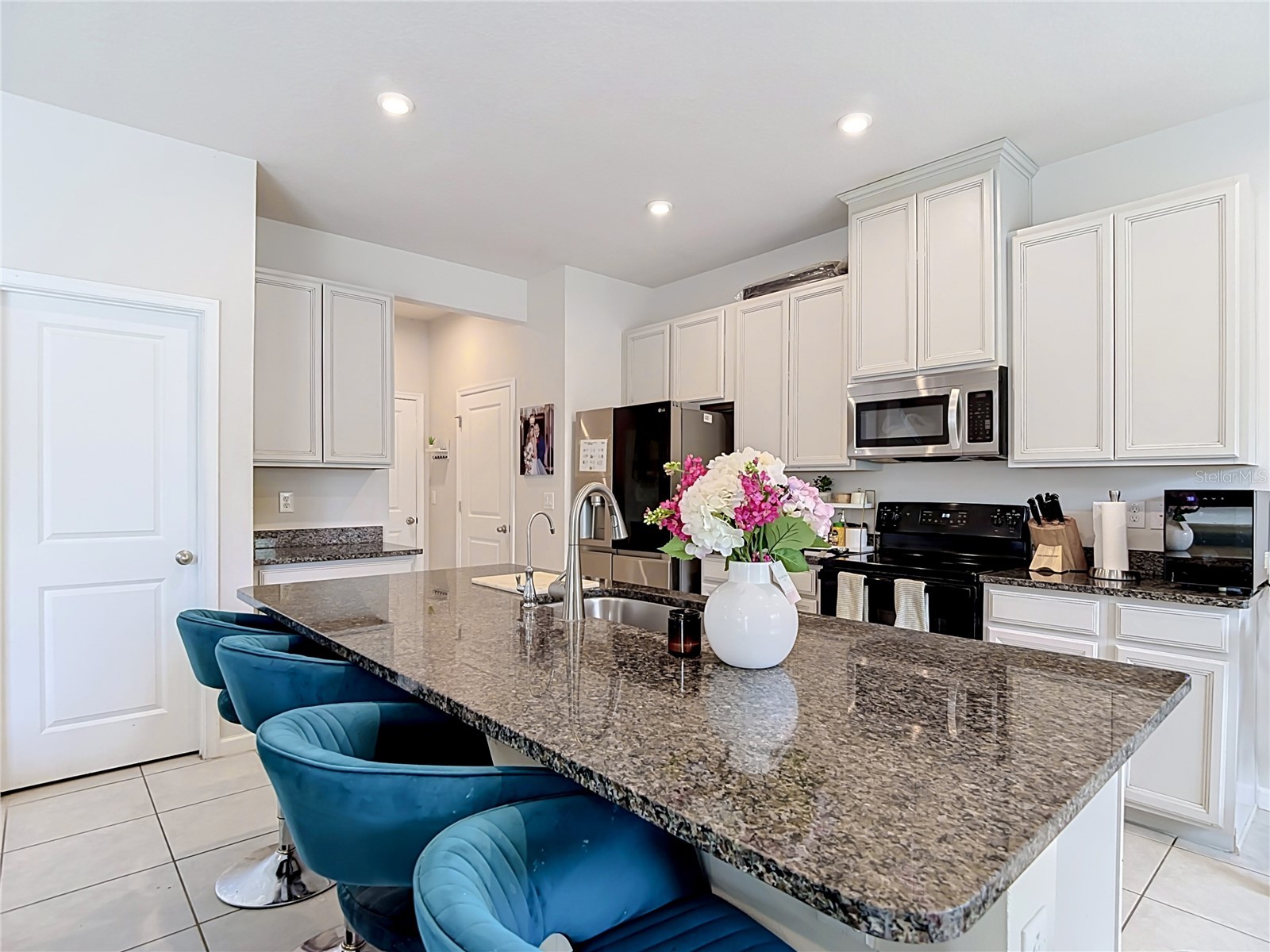 10699 Old Sycamore Loop Land O Lakes FL 34638 TB8521150 image24