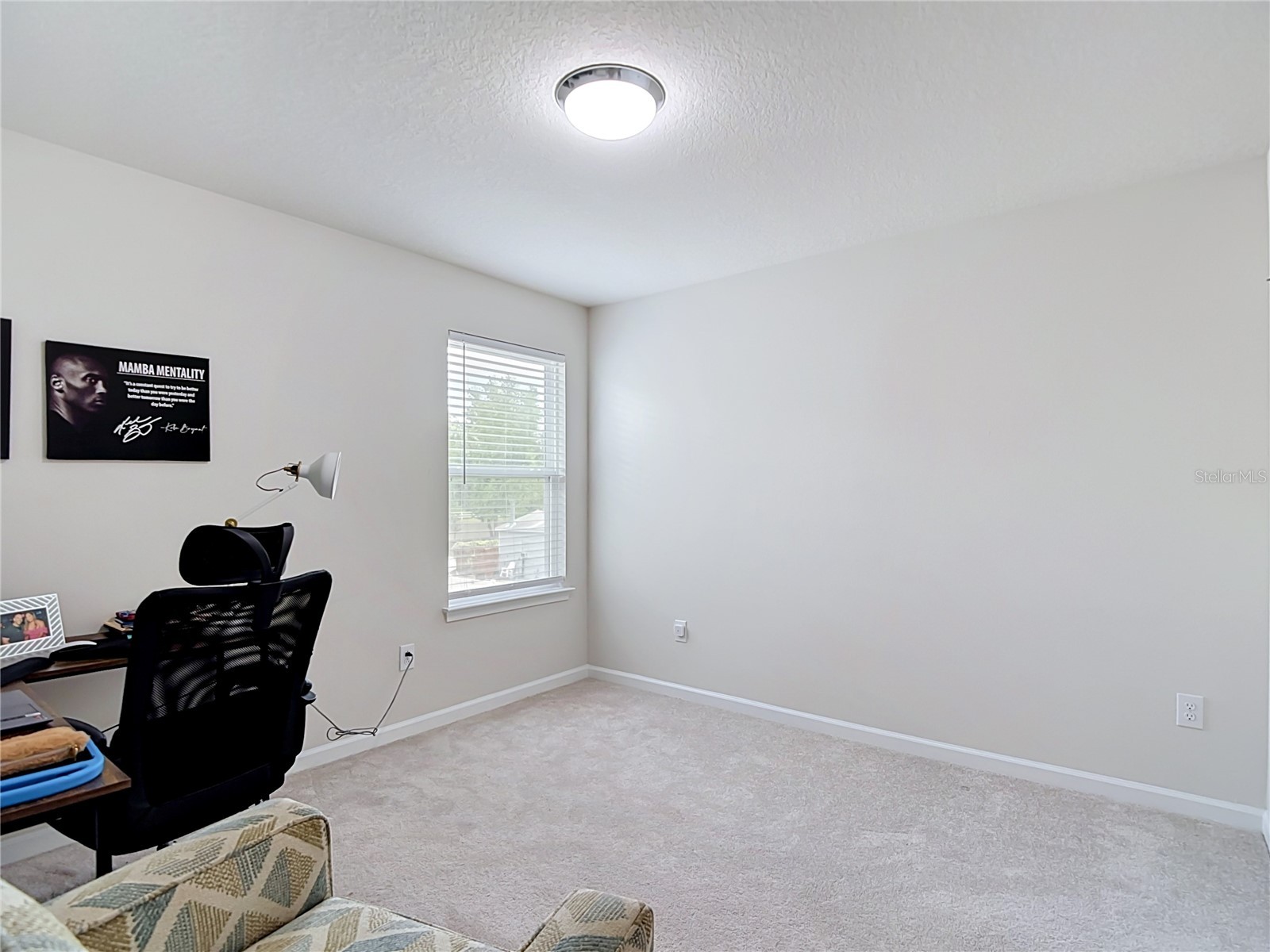 10699 Old Sycamore Loop Land O Lakes FL 34638 TB8521150 image34