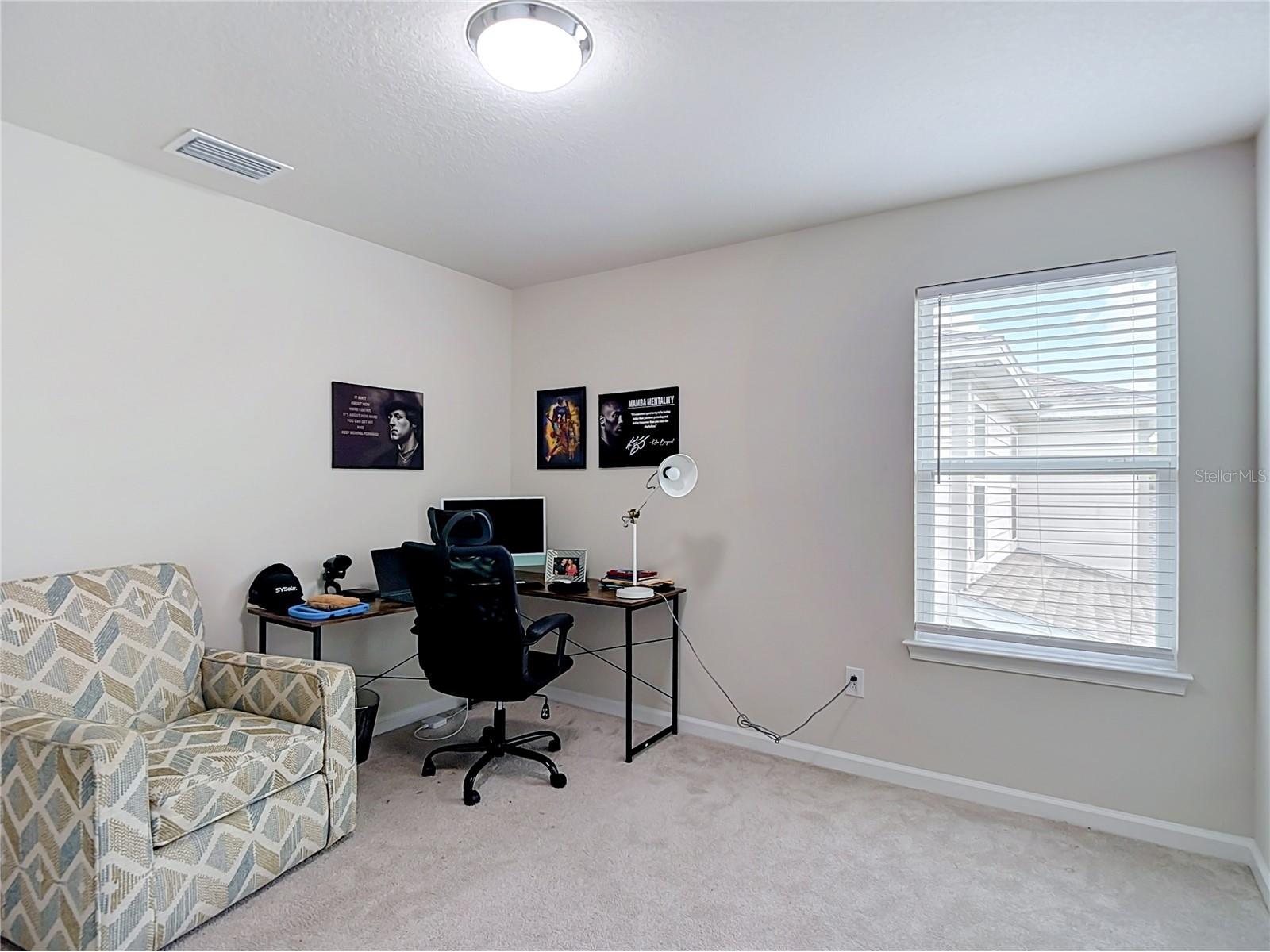 10699 Old Sycamore Loop Land O Lakes FL 34638 TB8521150 image35