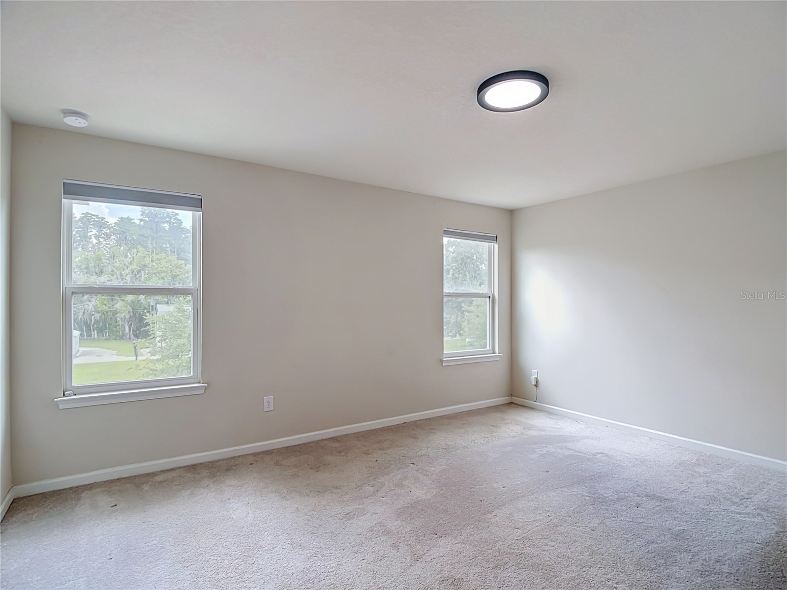 10699 Old Sycamore Loop Land O Lakes FL 34638 TB8521150 image38