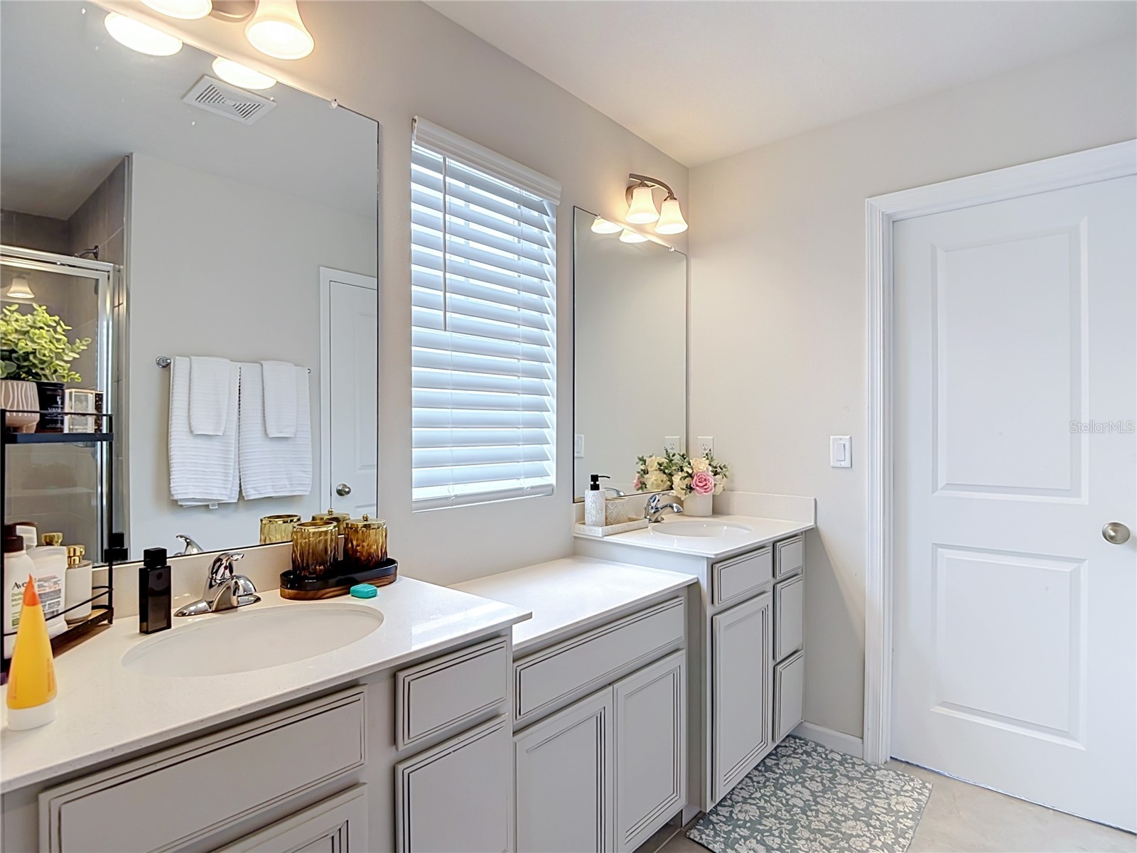 10699 Old Sycamore Loop Land O Lakes FL 34638 TB8521150 image42