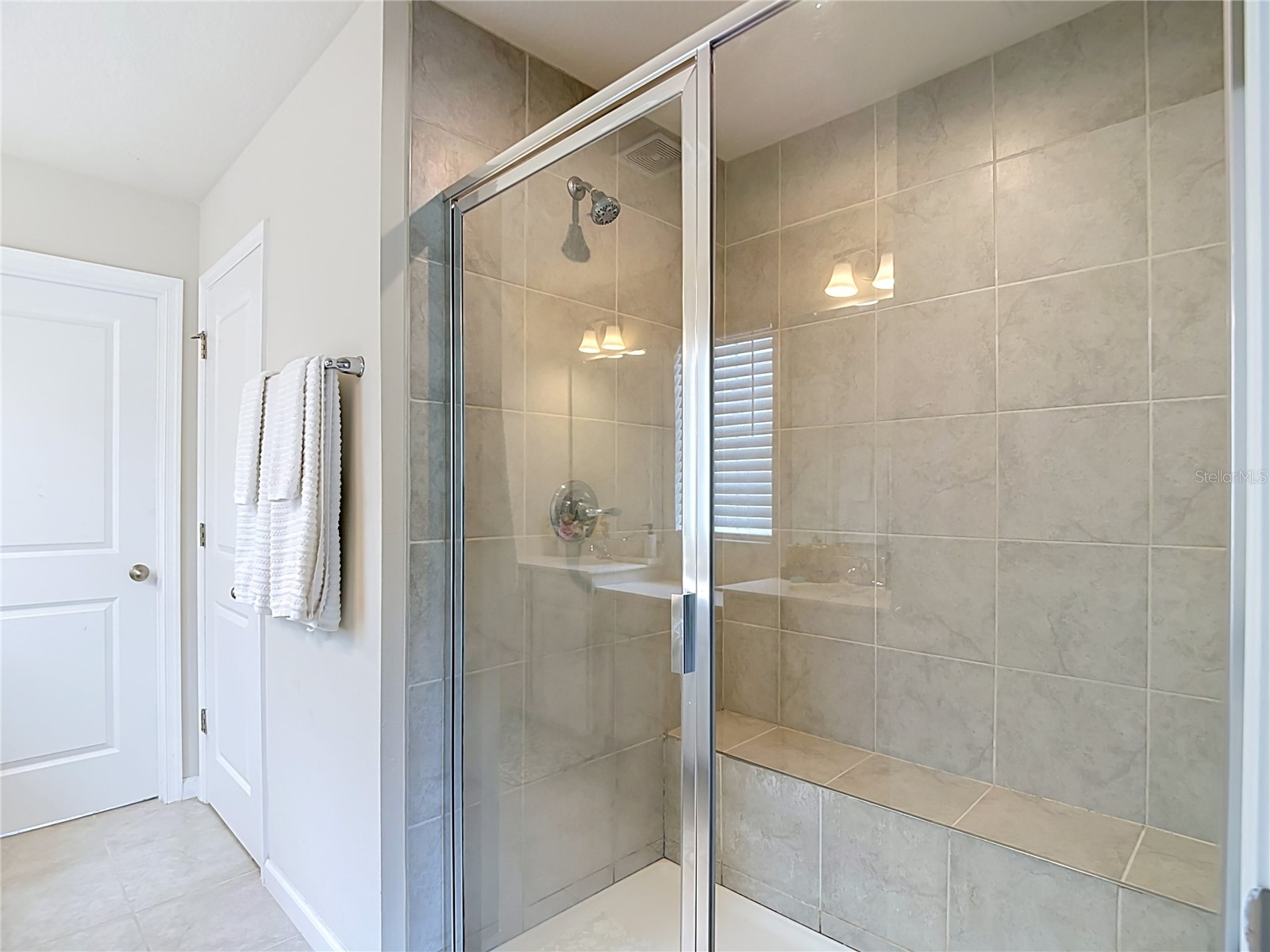 10699 Old Sycamore Loop Land O Lakes FL 34638 TB8521150 image45