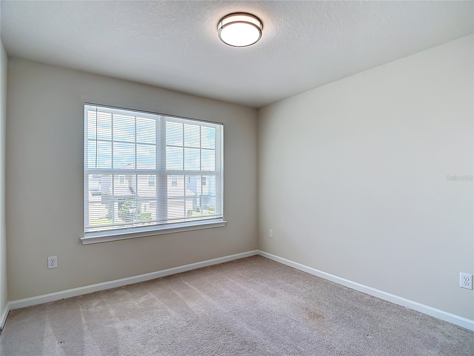 10699 Old Sycamore Loop Land O Lakes FL 34638 TB8521150 image48