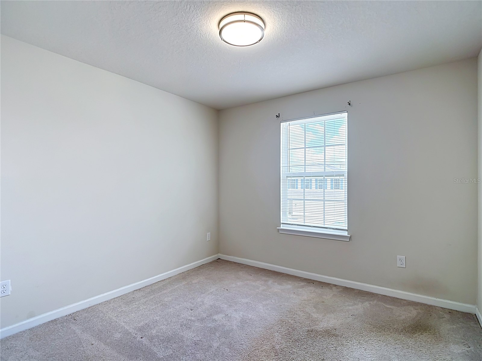 10699 Old Sycamore Loop Land O Lakes FL 34638 TB8521150 image53