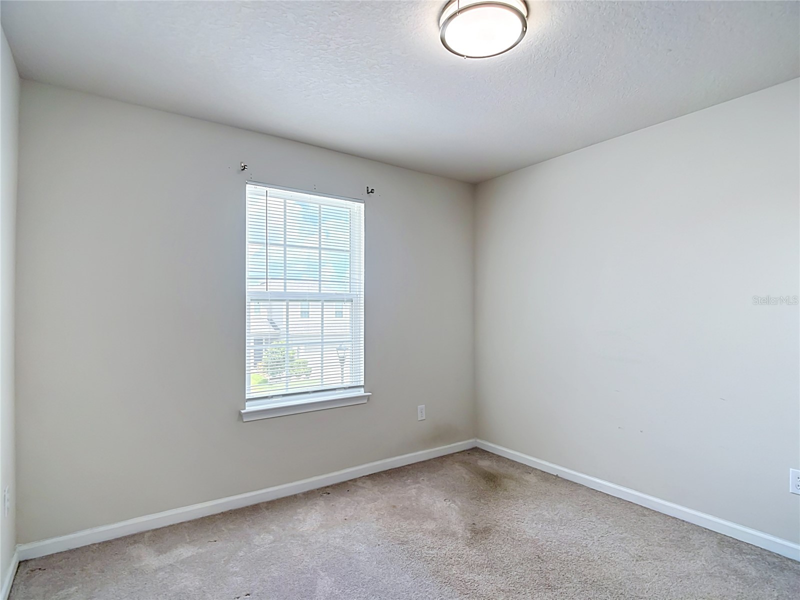 10699 Old Sycamore Loop Land O Lakes FL 34638 TB8521150 image56