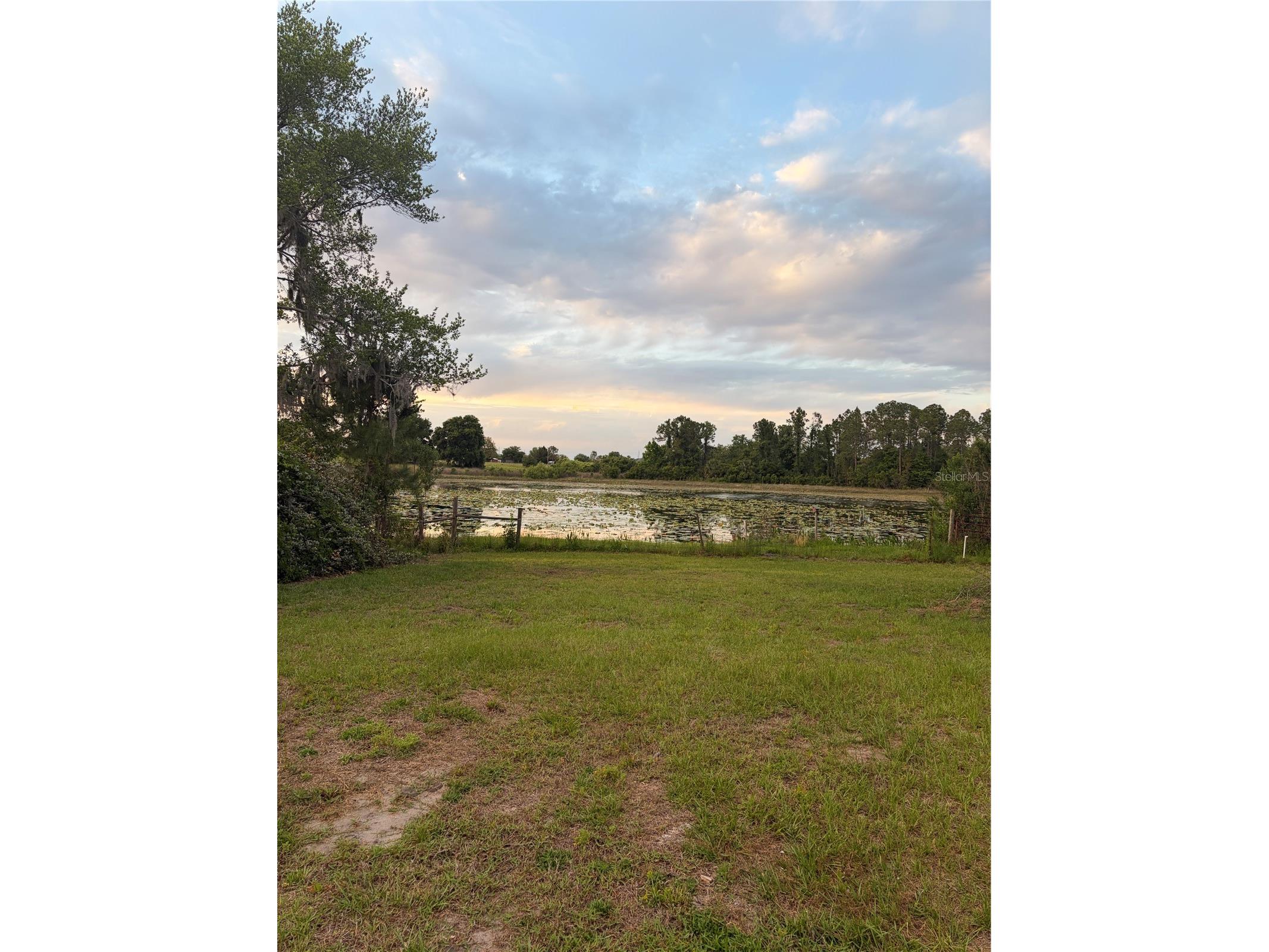 10699 Quiet Cove Road Howey In The Hills FL 34737 - POND G5114020 image20