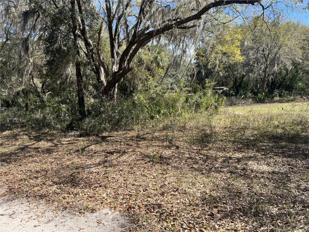 107 & 109 Dixie Street Hawthorne FL 32640 GC529126 image8