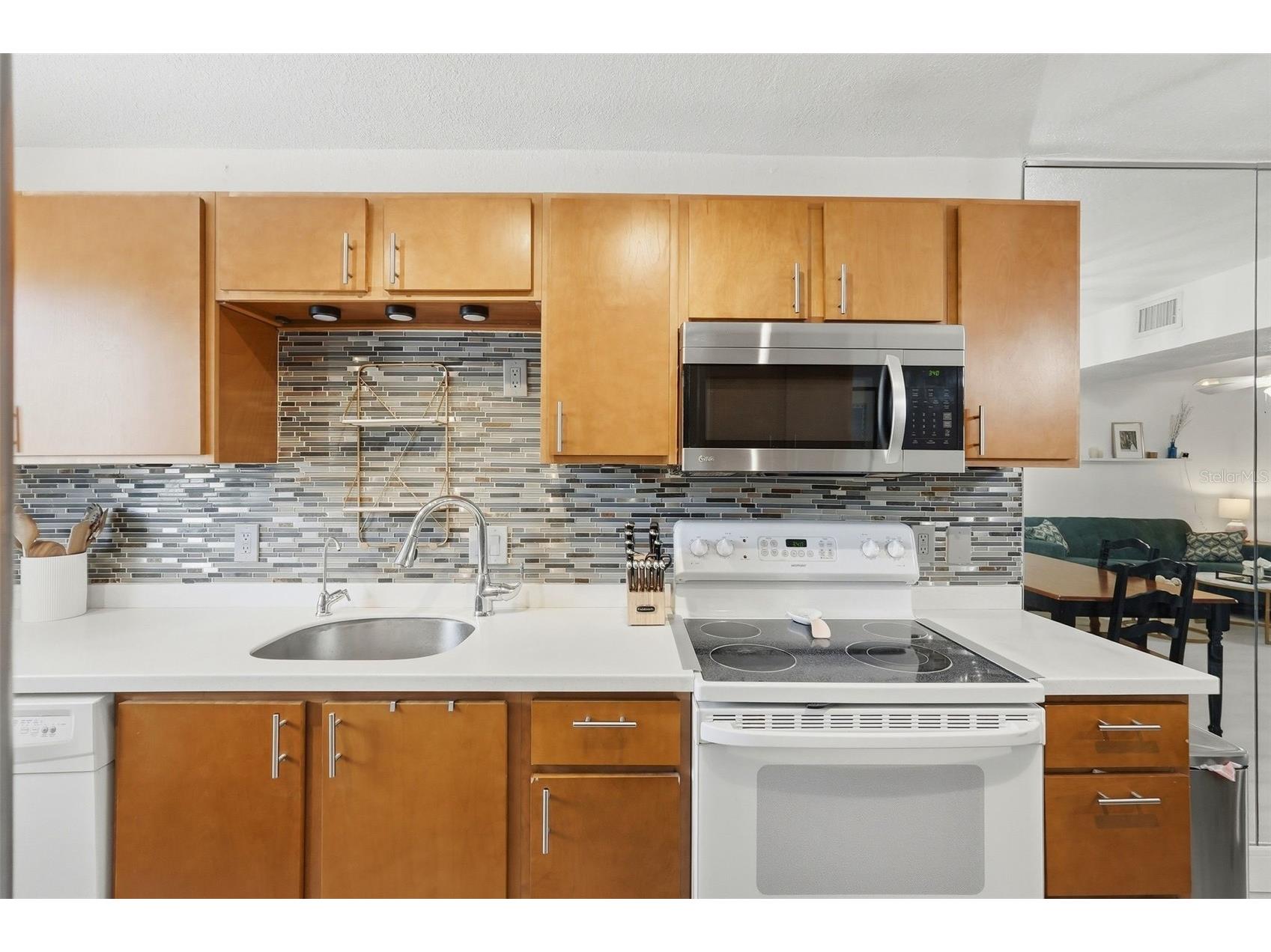 107 114th Avenue N Saint Petersburg FL 33716 TB8490660 image3