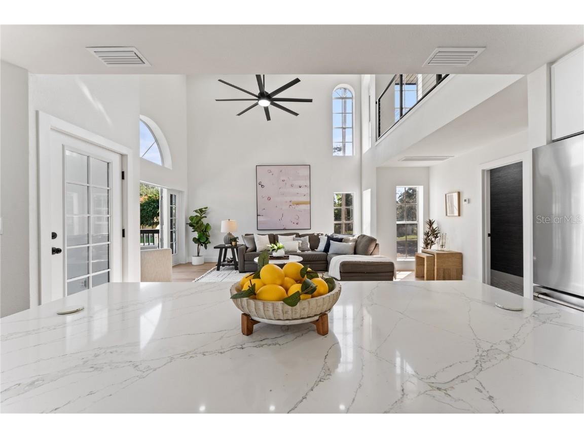 107 Adriatic Avenue Tampa FL 33606 TB8429021 image15