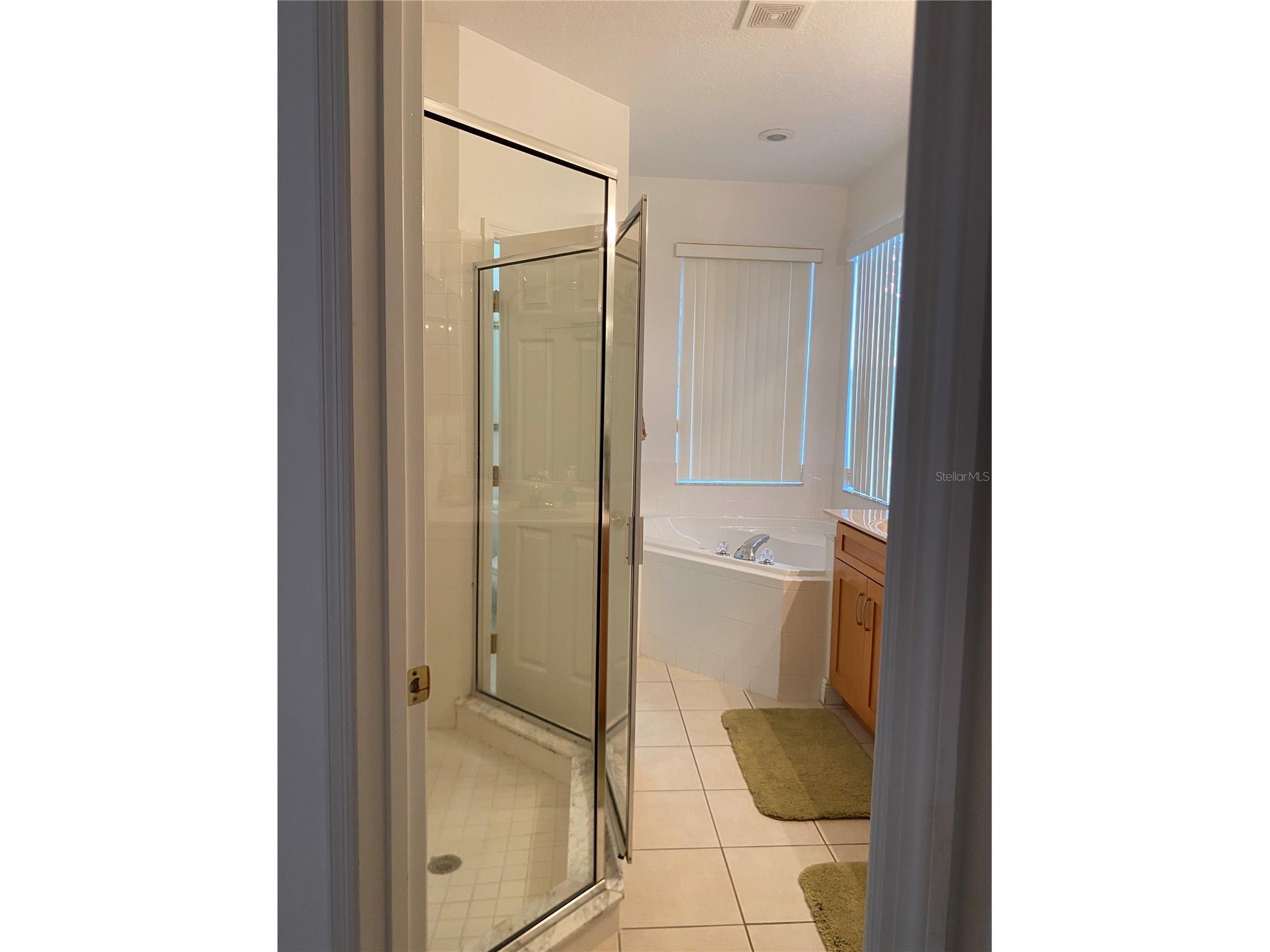 107 Amaca Lane Davenport FL 33897 S5151413 image17