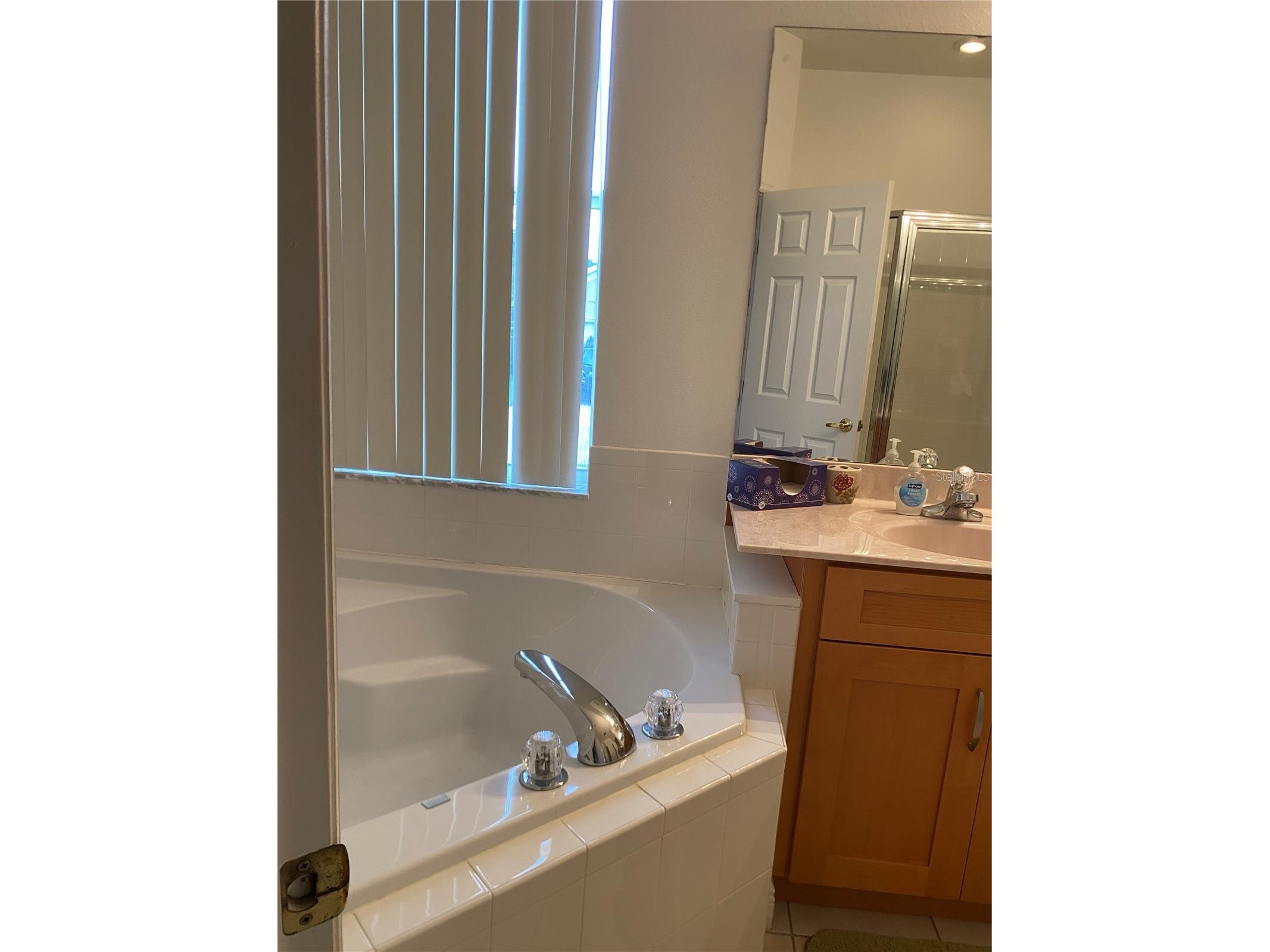 107 Amaca Lane Davenport FL 33897 S5151413 image19
