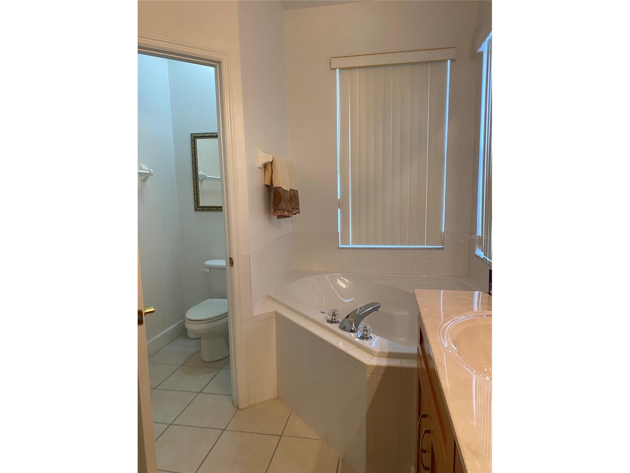 107 Amaca Lane Davenport FL 33897 S5151413 image21