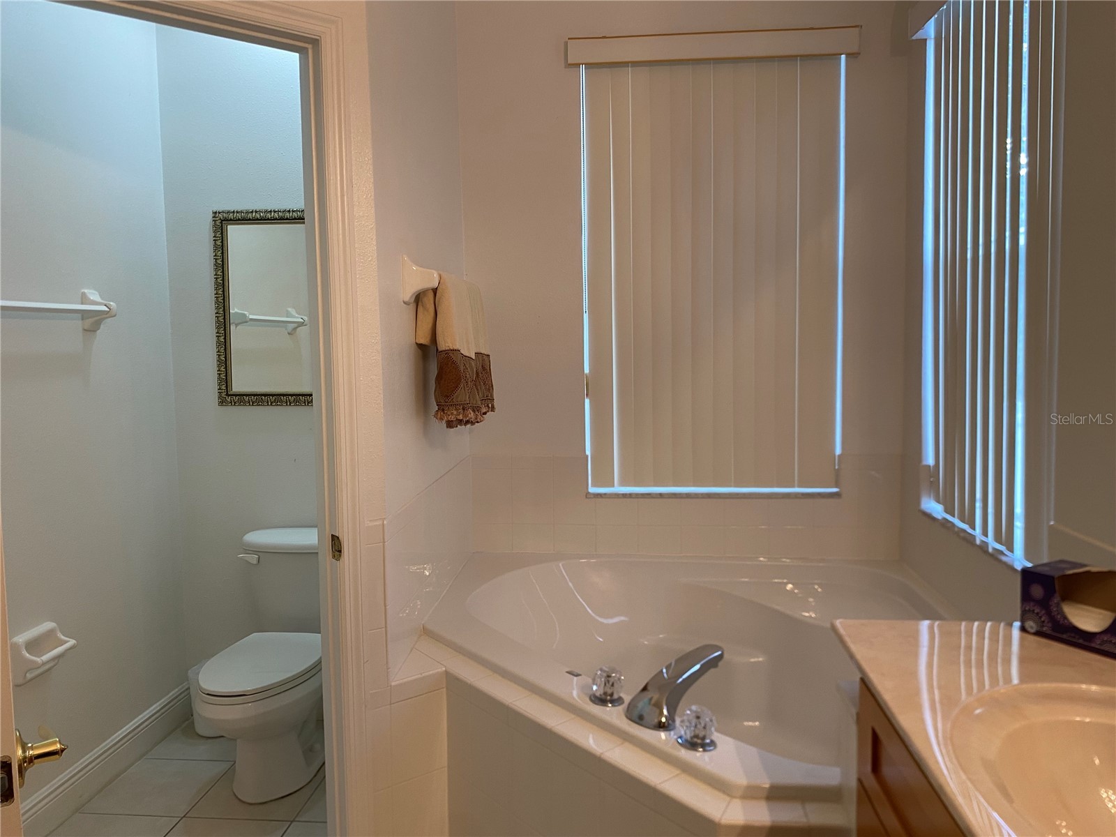107 Amaca Lane Davenport FL 33897 S5151413 image22