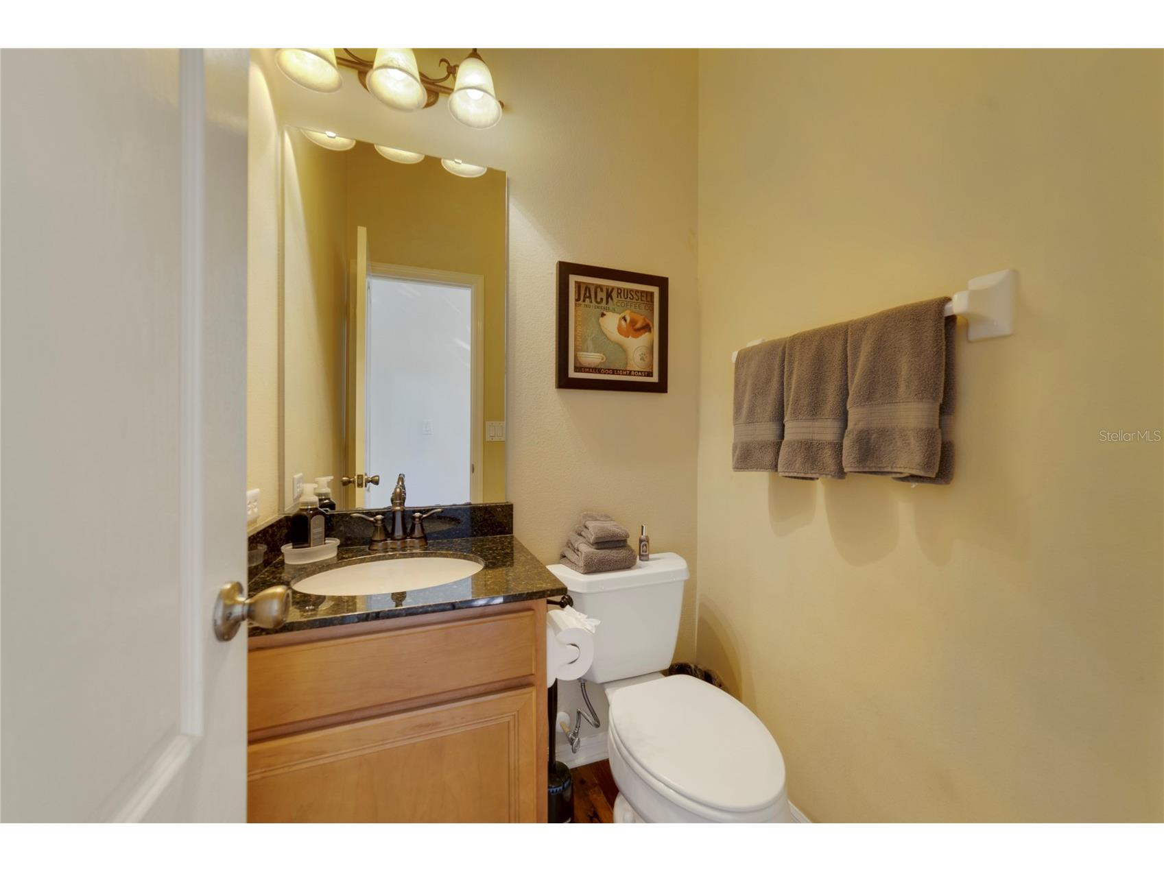 107 Asterbrooke Drive Deland FL 32724 V4946655 image8