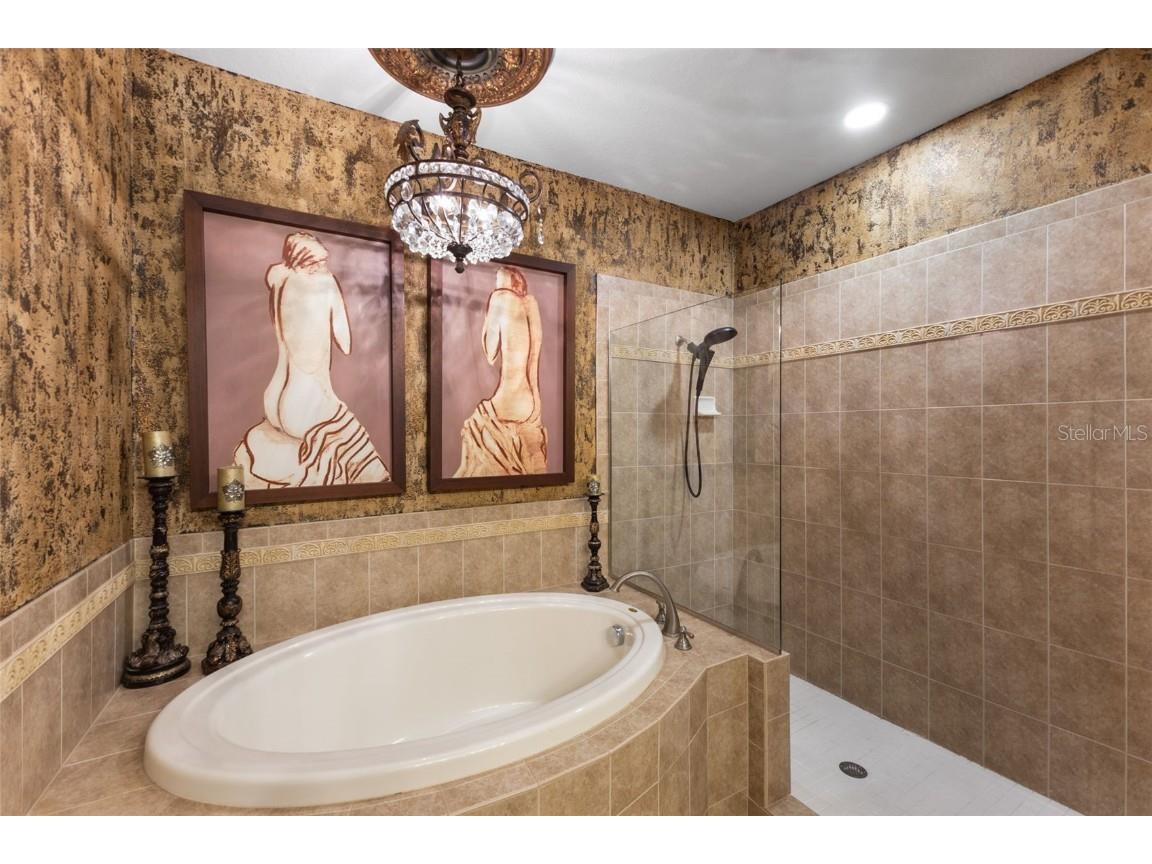 107 Athenian Way Tarpon Springs FL 34689 - ANCLOTE TB8376738 image33