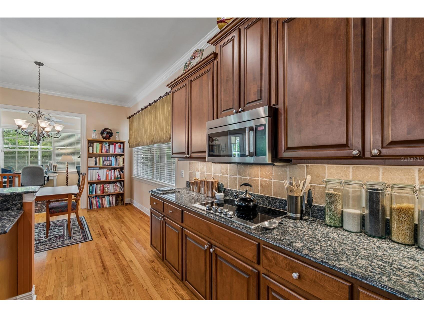 107 Bermuda Avenue Tampa FL 33606 TB8511348 image24