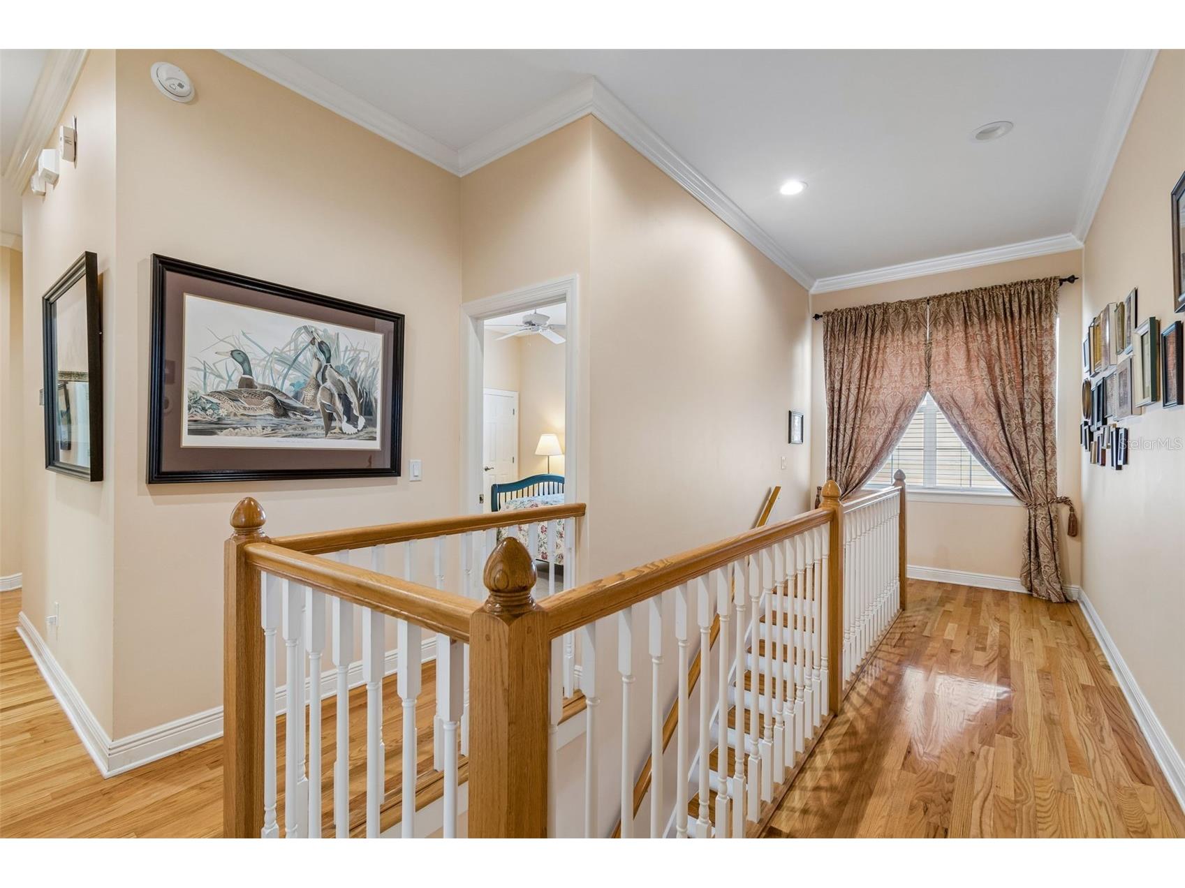 107 Bermuda Avenue Tampa FL 33606 TB8511348 image33