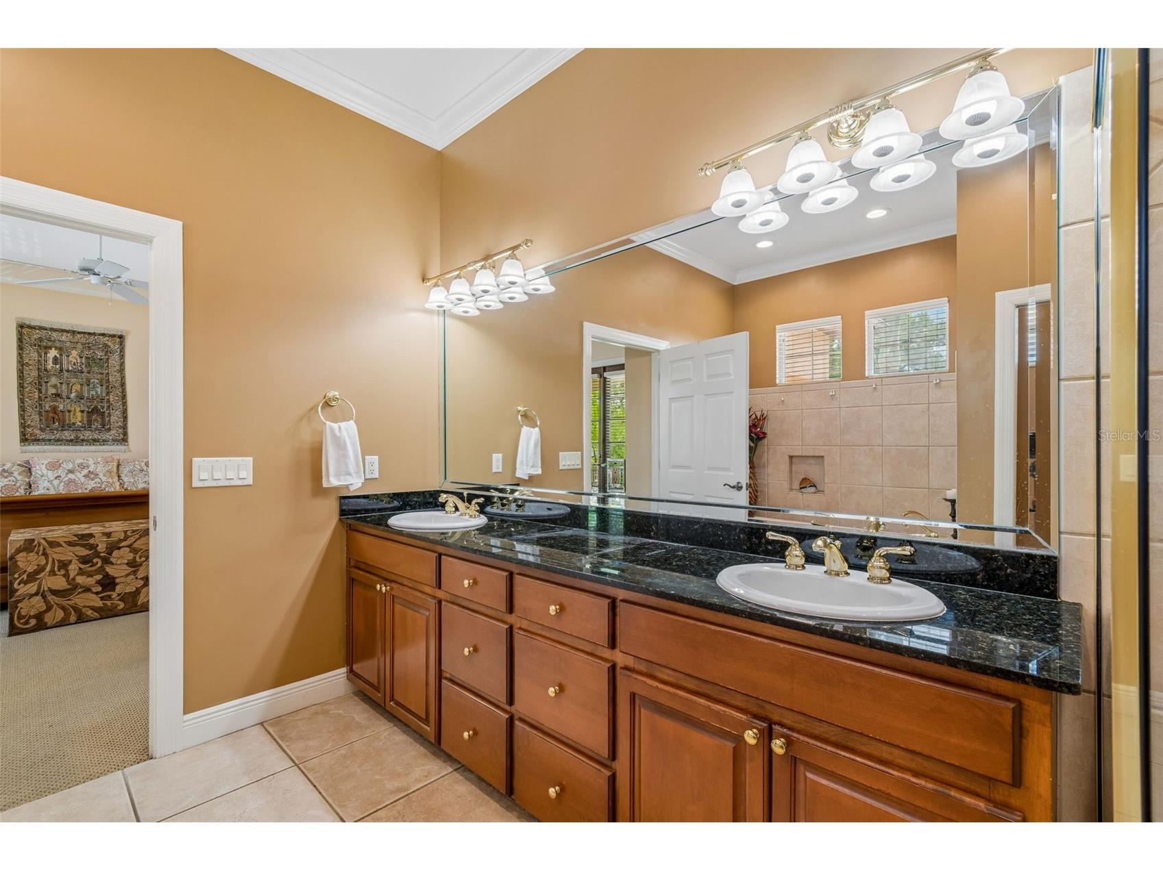 107 Bermuda Avenue Tampa FL 33606 TB8511348 image41