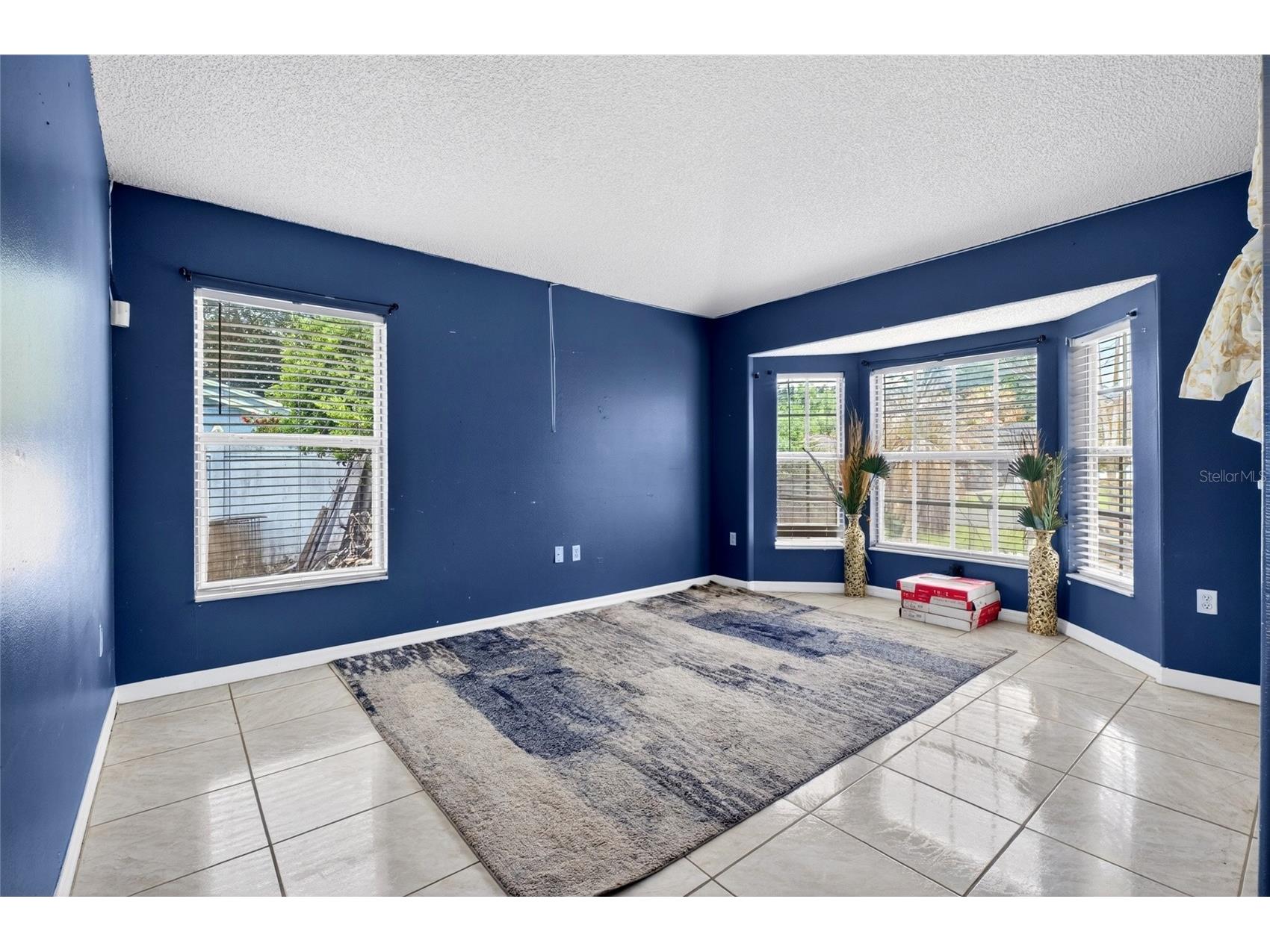 107 Bianca Court Kissimmee FL 34758 O6405120 image8