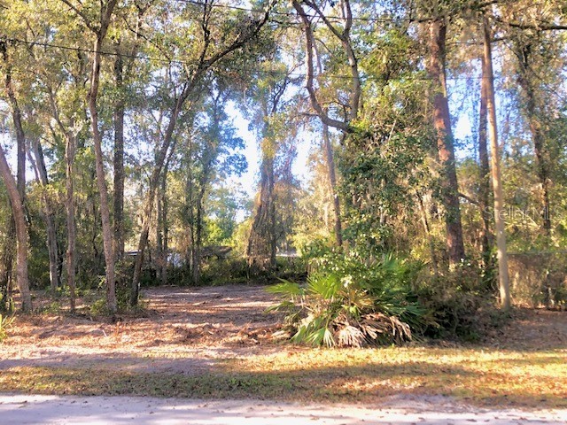 107 Bluegill Drive Satsuma FL 32189 G5063268 image1