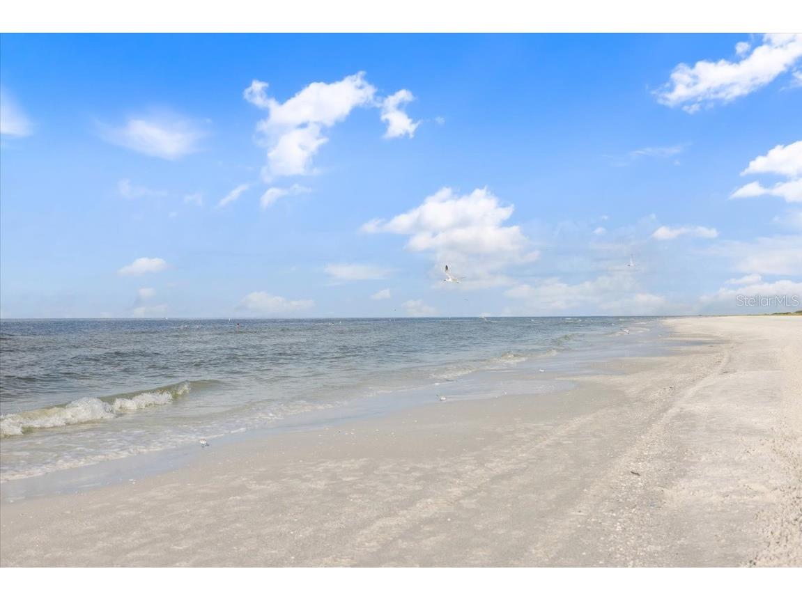 107 Clipper Way #107 Nokomis FL 34275 - LYONS BAY A4656342 image40