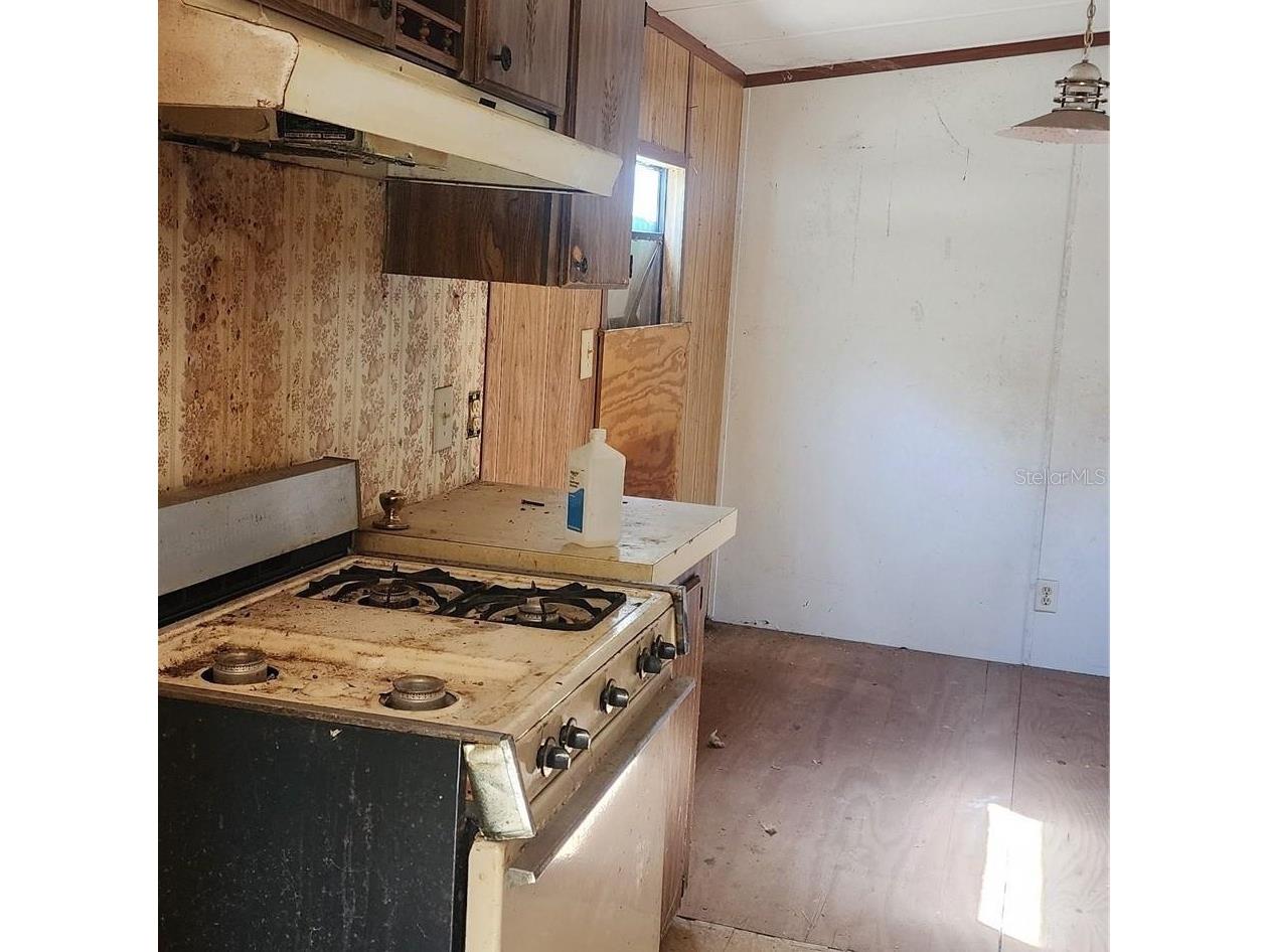 107 College Lane Zolfo Springs FL 33890 C7522122 image4