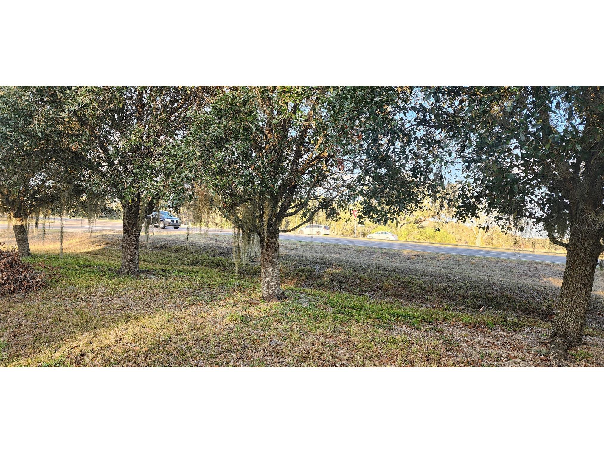 107 College Lane Zolfo Springs FL 33890 C7522122 image9
