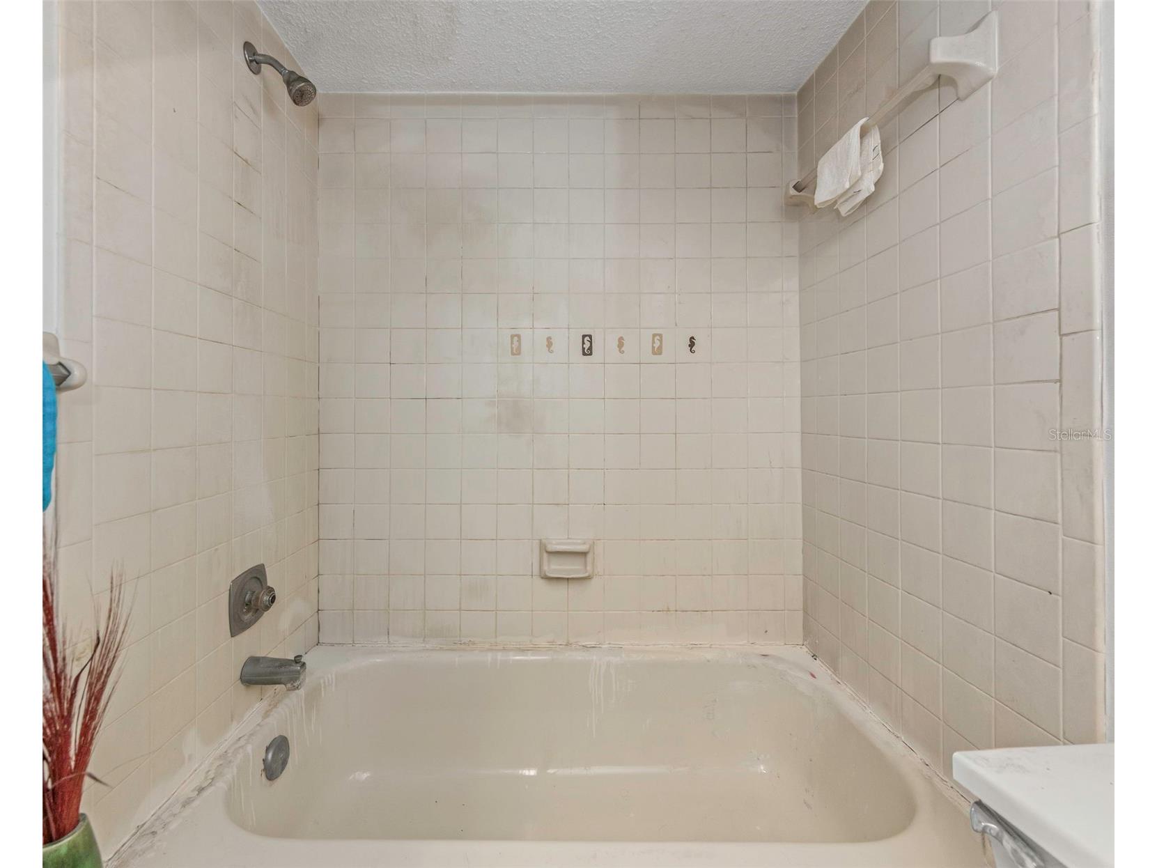 107 Country Villas Drive Safety Harbor FL 34695 TB8492502 image31