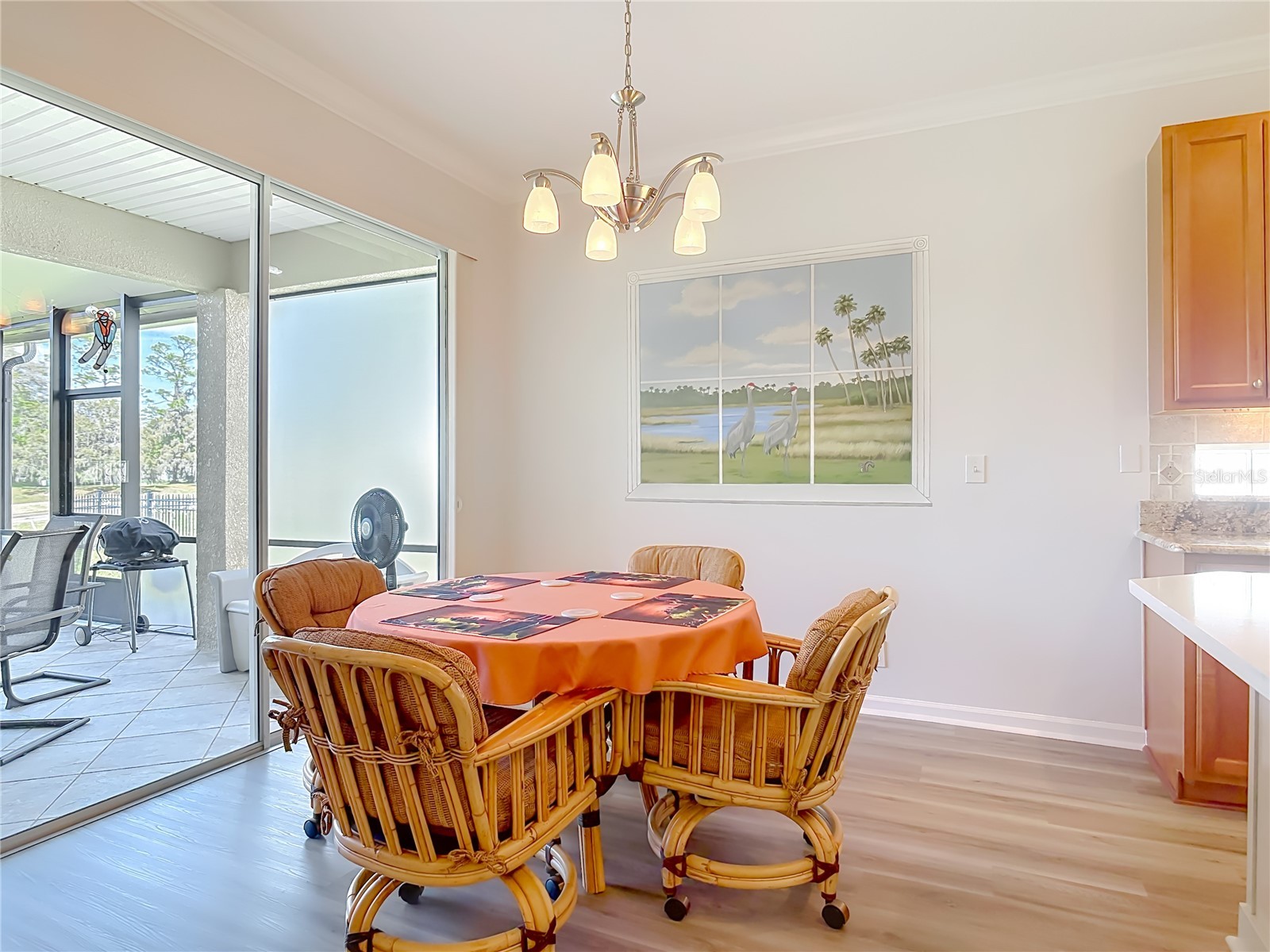 107 Curry Rise Court Deland FL 32724 V4948099 image8