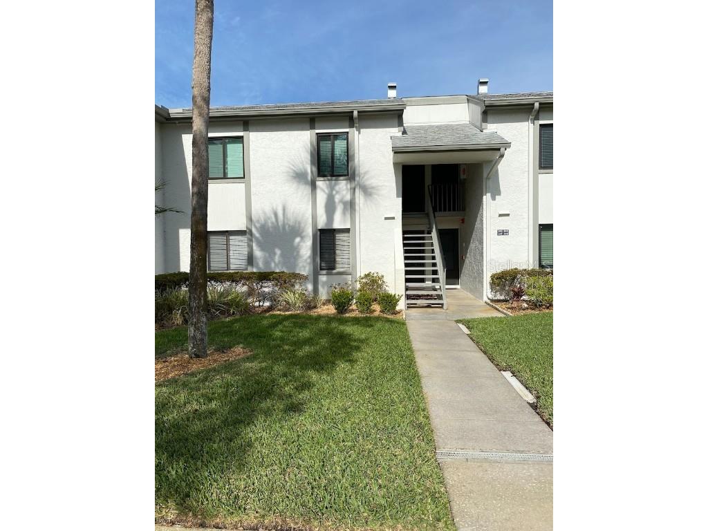 107 E Cypress Court Oldsmar FL 34677 T3495073 image1