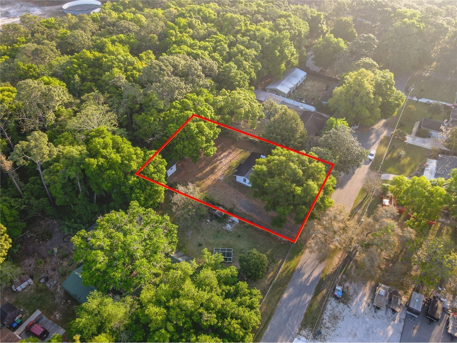 107 Earls Lane Apopka FL 32712 S5153358 image22